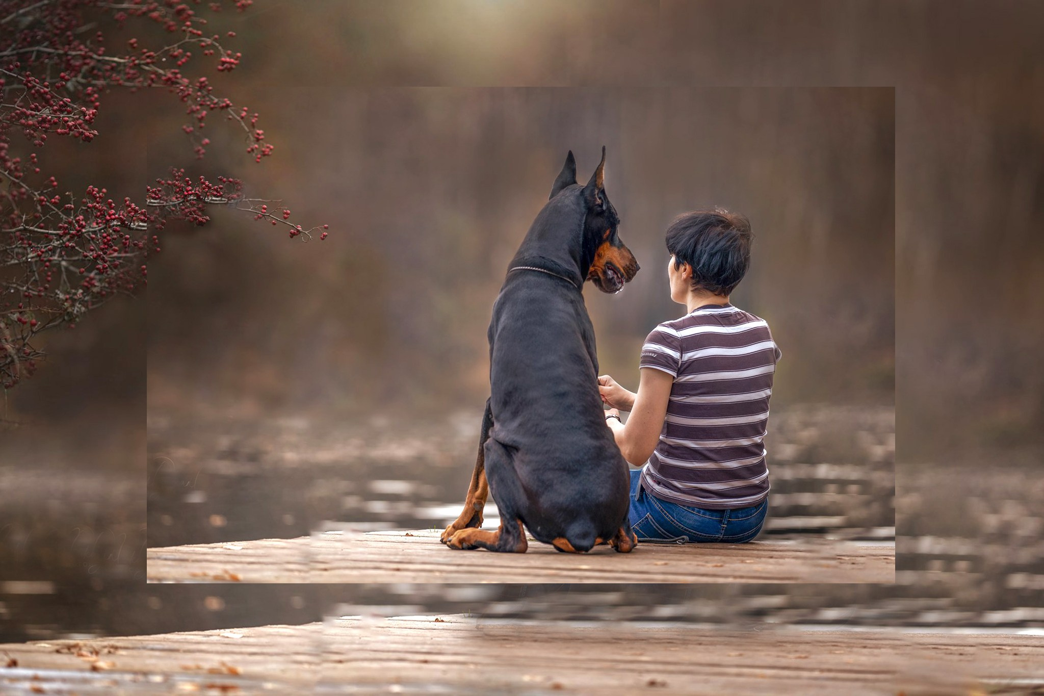 Фотограф анималист Ольга Луканенкова в Москве