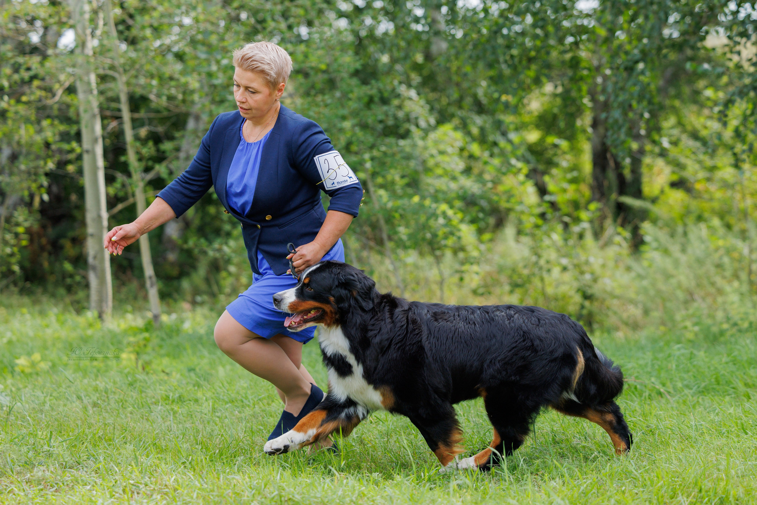 Астана 2хCACIB 17-18.08.2024. Фотограф-анималист Юлия Германика