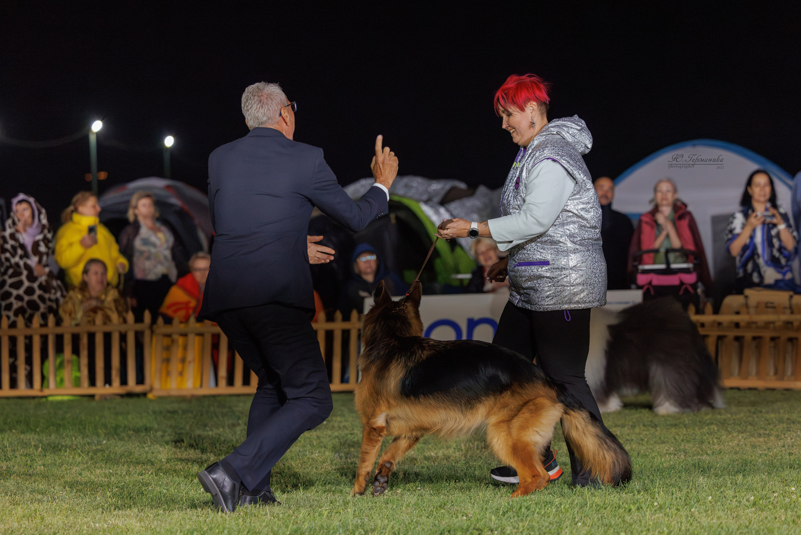 Ереван 3хCACIB 23-25.06.2025. Фотограф-анималист Юлия Германика