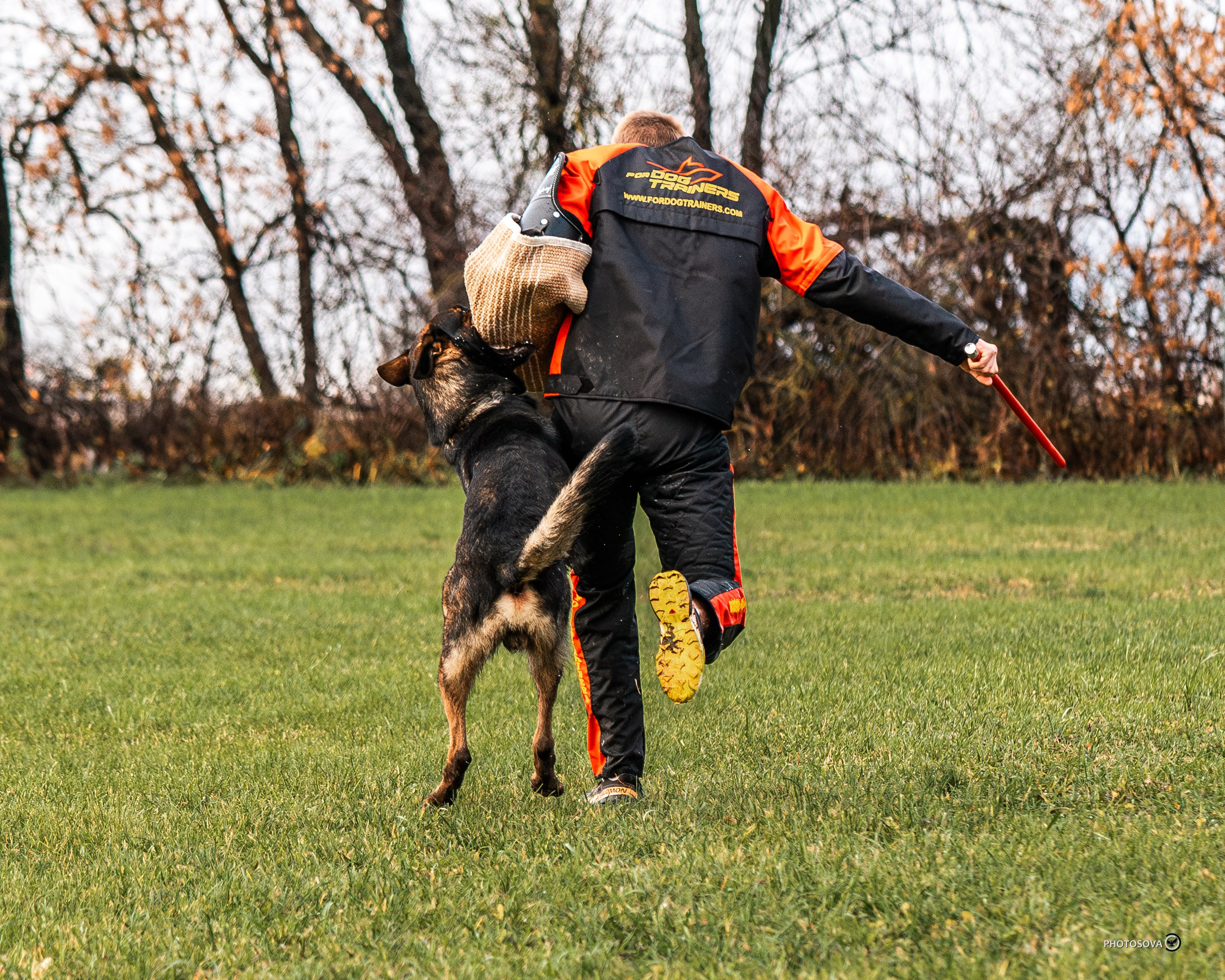 МЫ — КОМАНДА (соревнования) OKD, BH, IBGH, IGP. Фотограф-анималист, семейный фотограф в Москве и Подмосковье. Фотосъёмка кинологических дисциплин