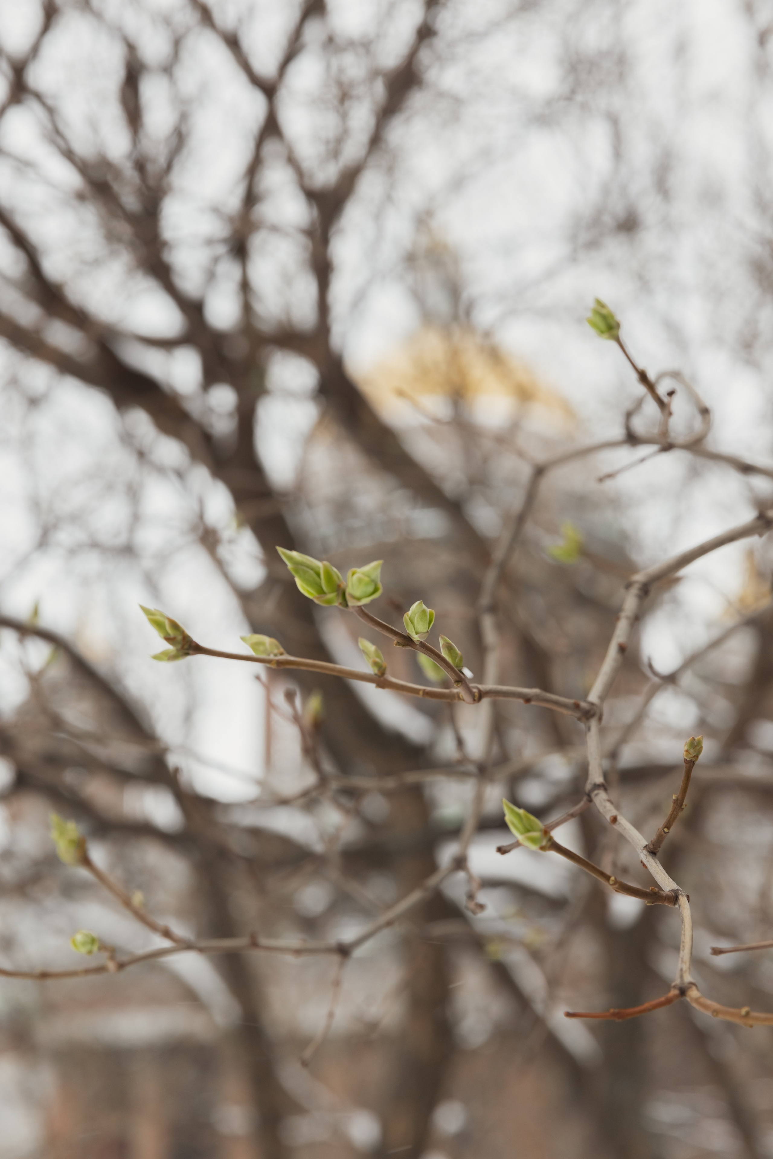 Крещение Исаакиевский собор. Свадебный фотограф, крещение, венчание СПБ, Белгород Анна Коршунова