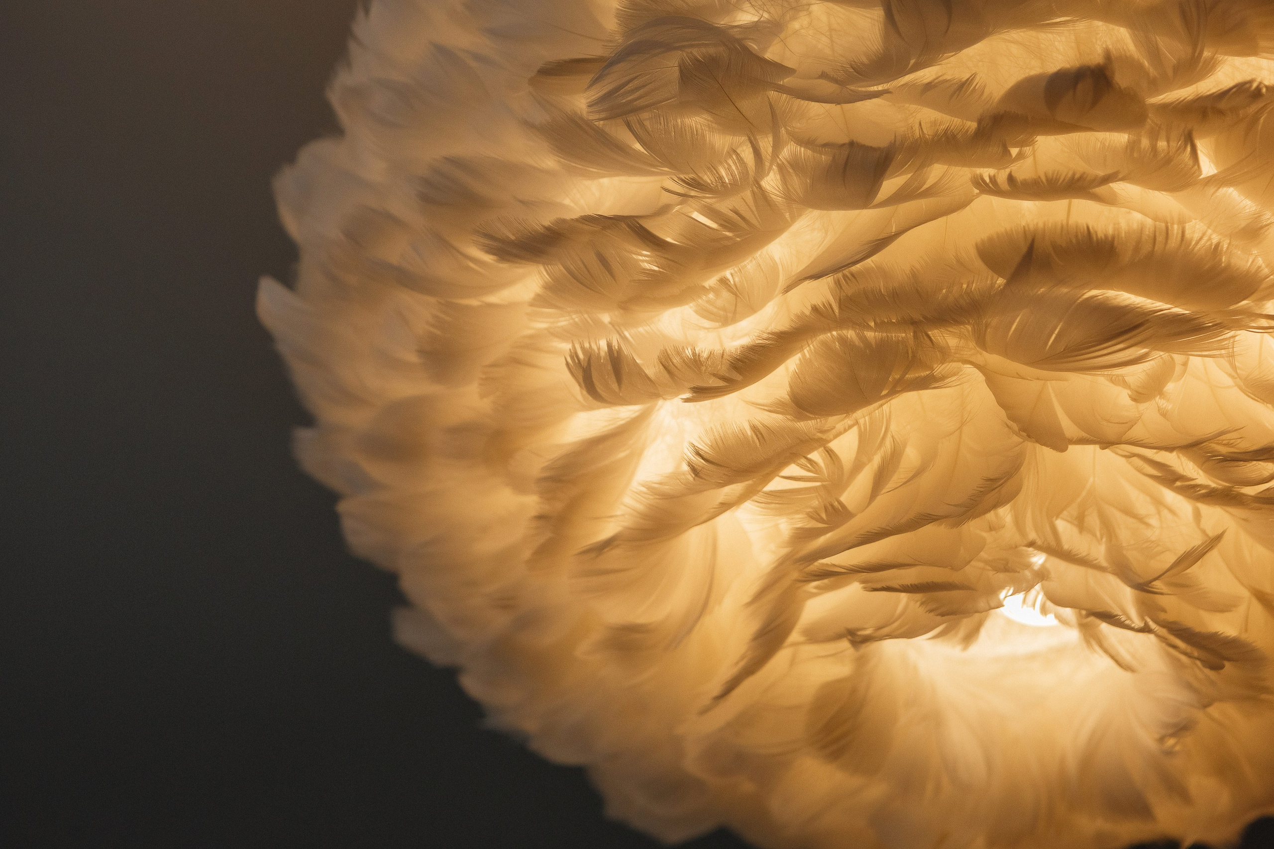 Фотографии недвижимости в Таганроге: Взгляд профессионала от фотографа. Свадебный и семейный фотограф в Таганроге Бакарюк Антон