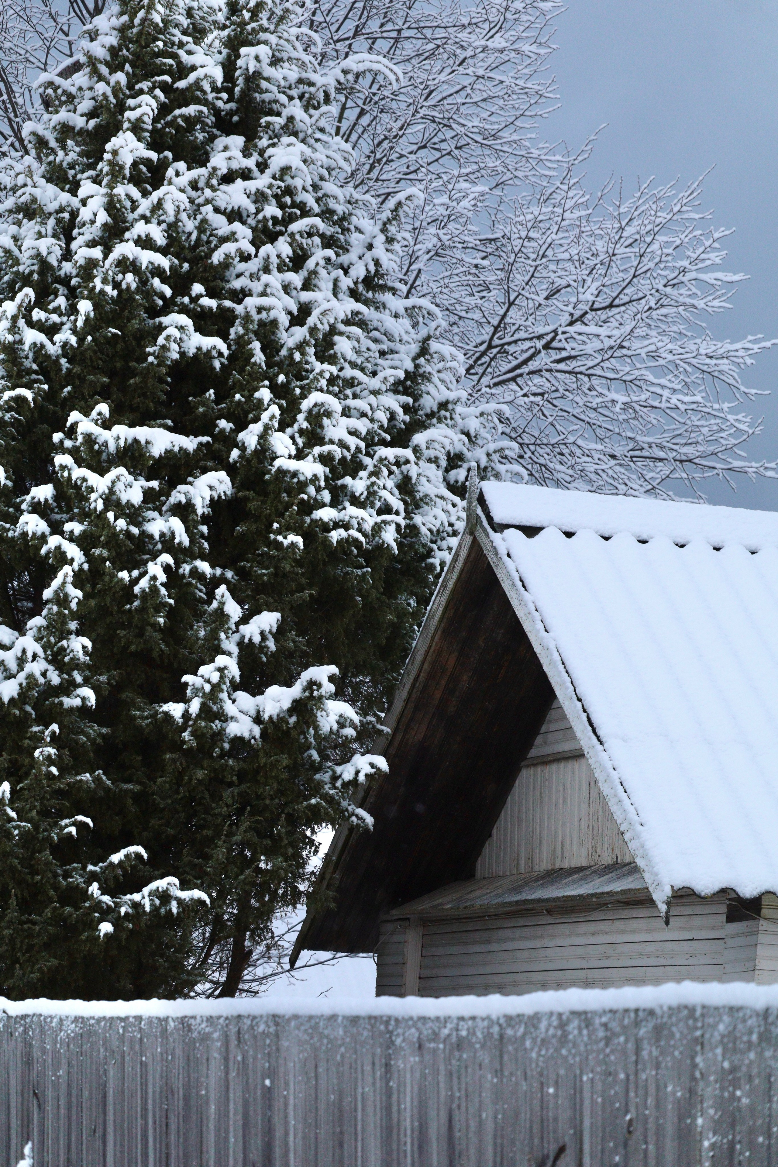 Зимняя сказка. Фотокружок «Видоискатель» ГБОУ СОШ № 291