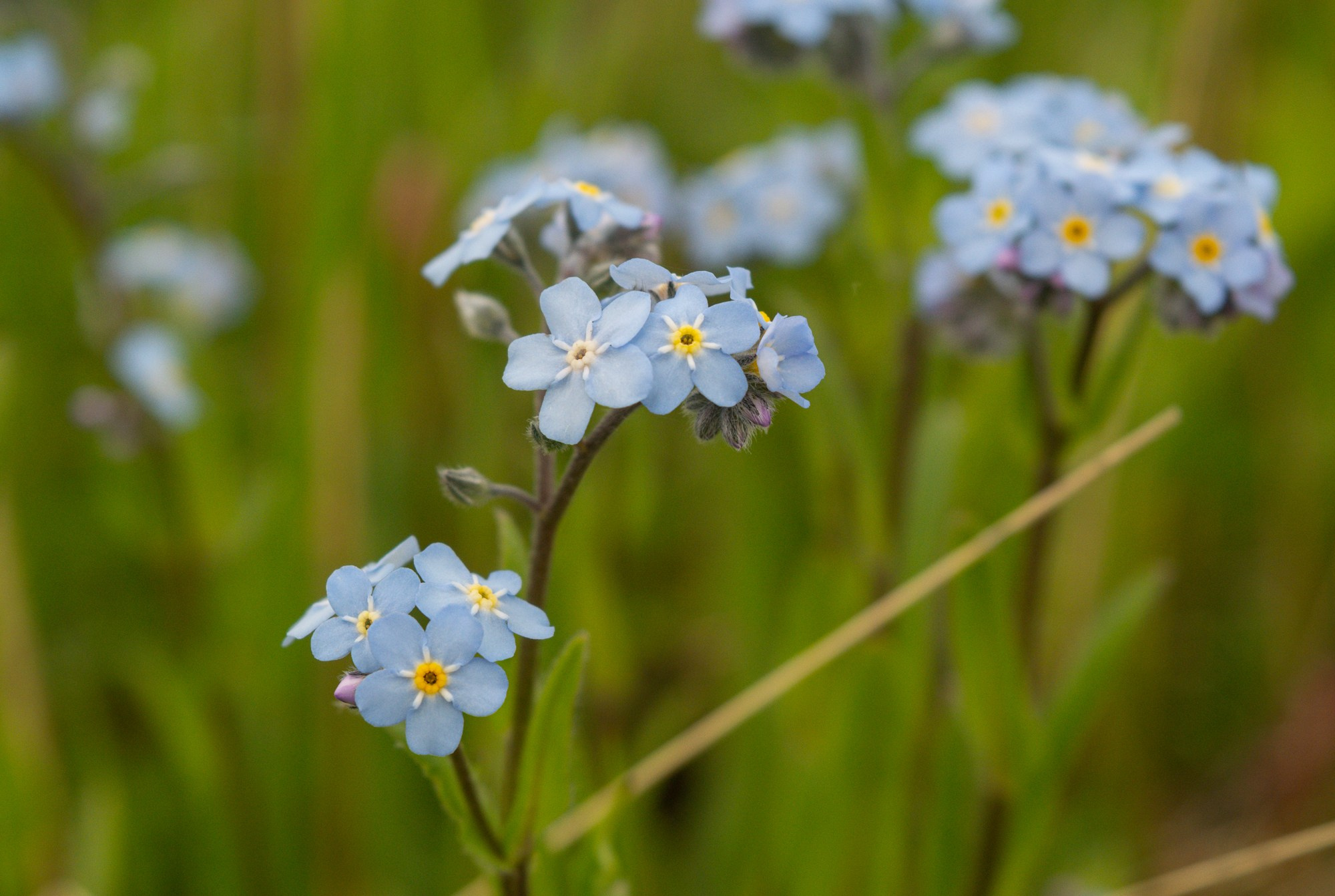 Разное. Репортажный фотограф г. Чита