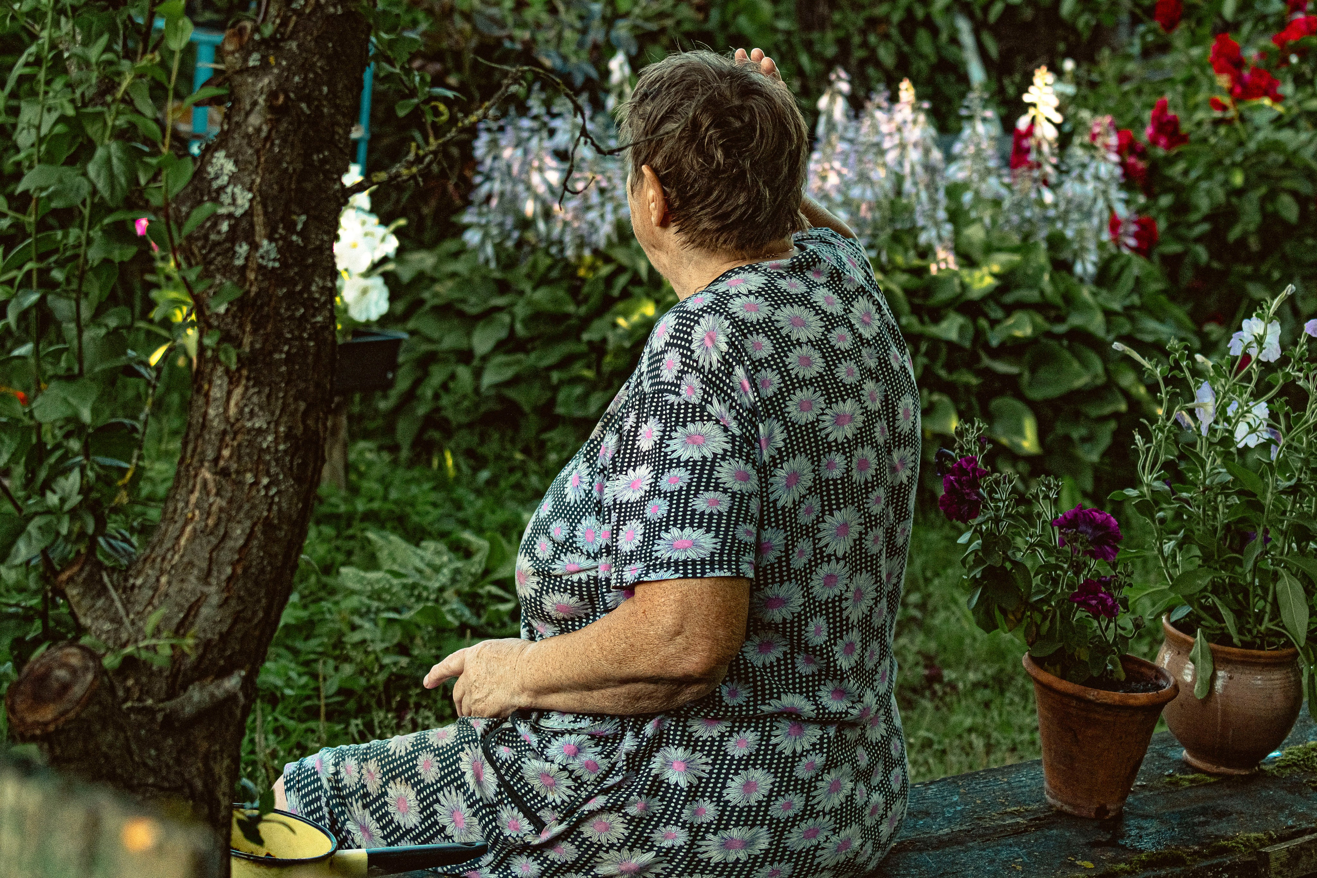 Color photographs. Artisistic photographs of Lena Sokolova