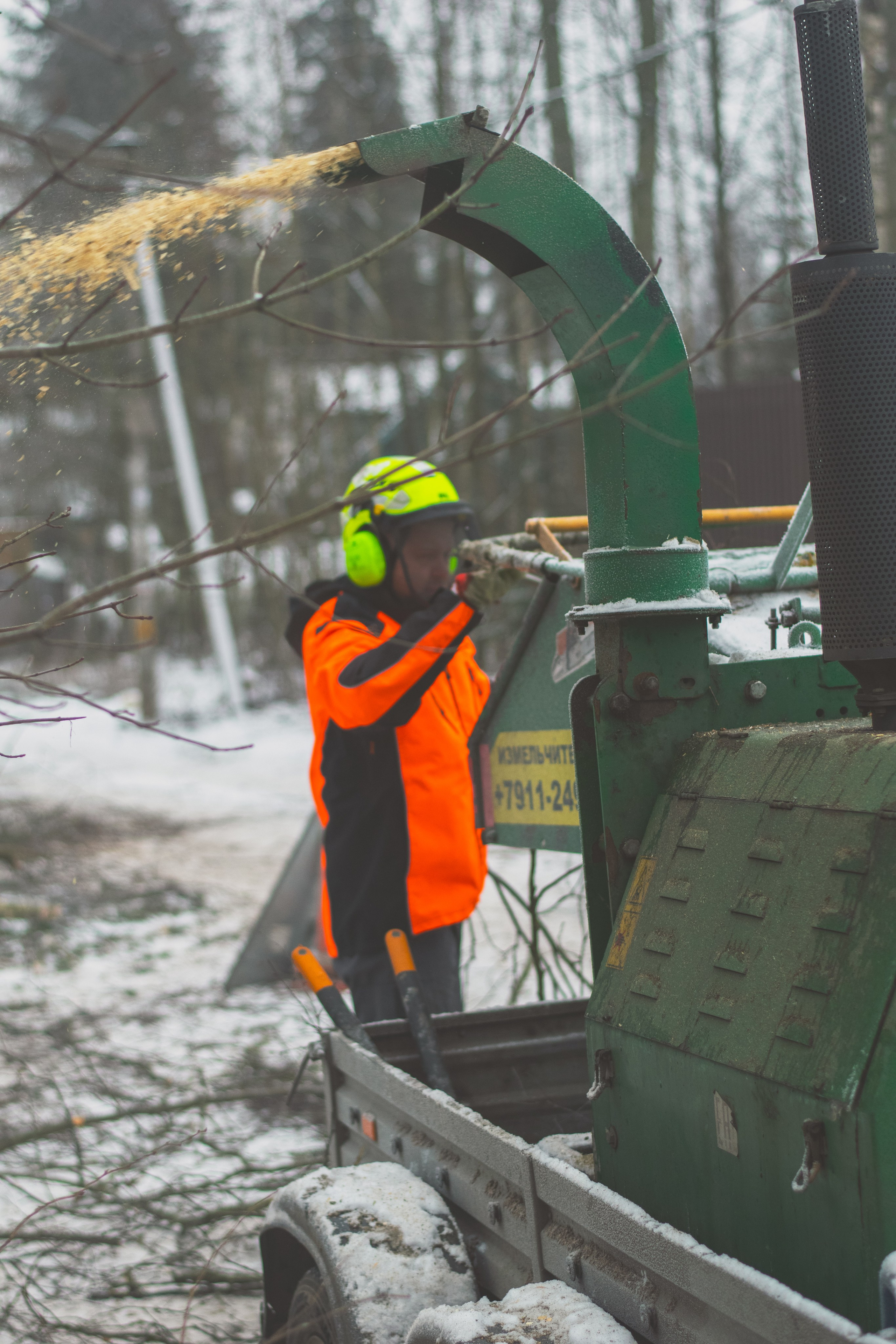 Дробление веток. Аrbori Culturist