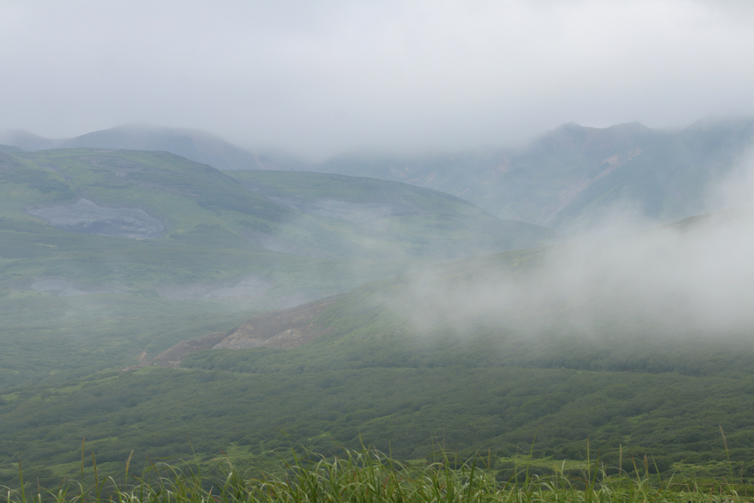 Камчатка и о. Парамушир. Июль 2024. Путешественник-фотограф из Санкт-Петербурга Татьяна Свистулина