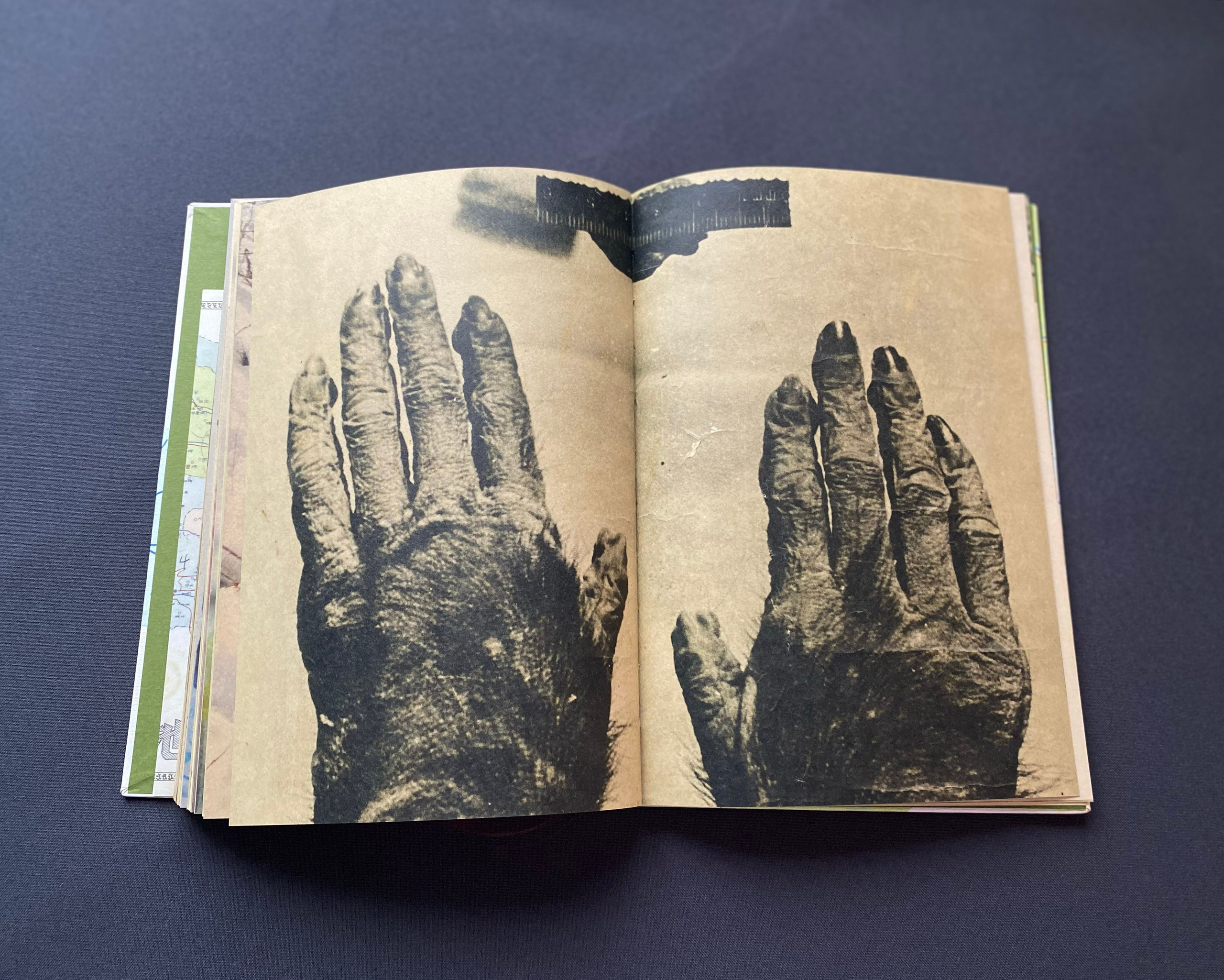 Фотокнижная библиотека Кристины Шкилевой. Фотограф и исследователь фотографии из Санкт-Петербурга Елизавета Веприцкая