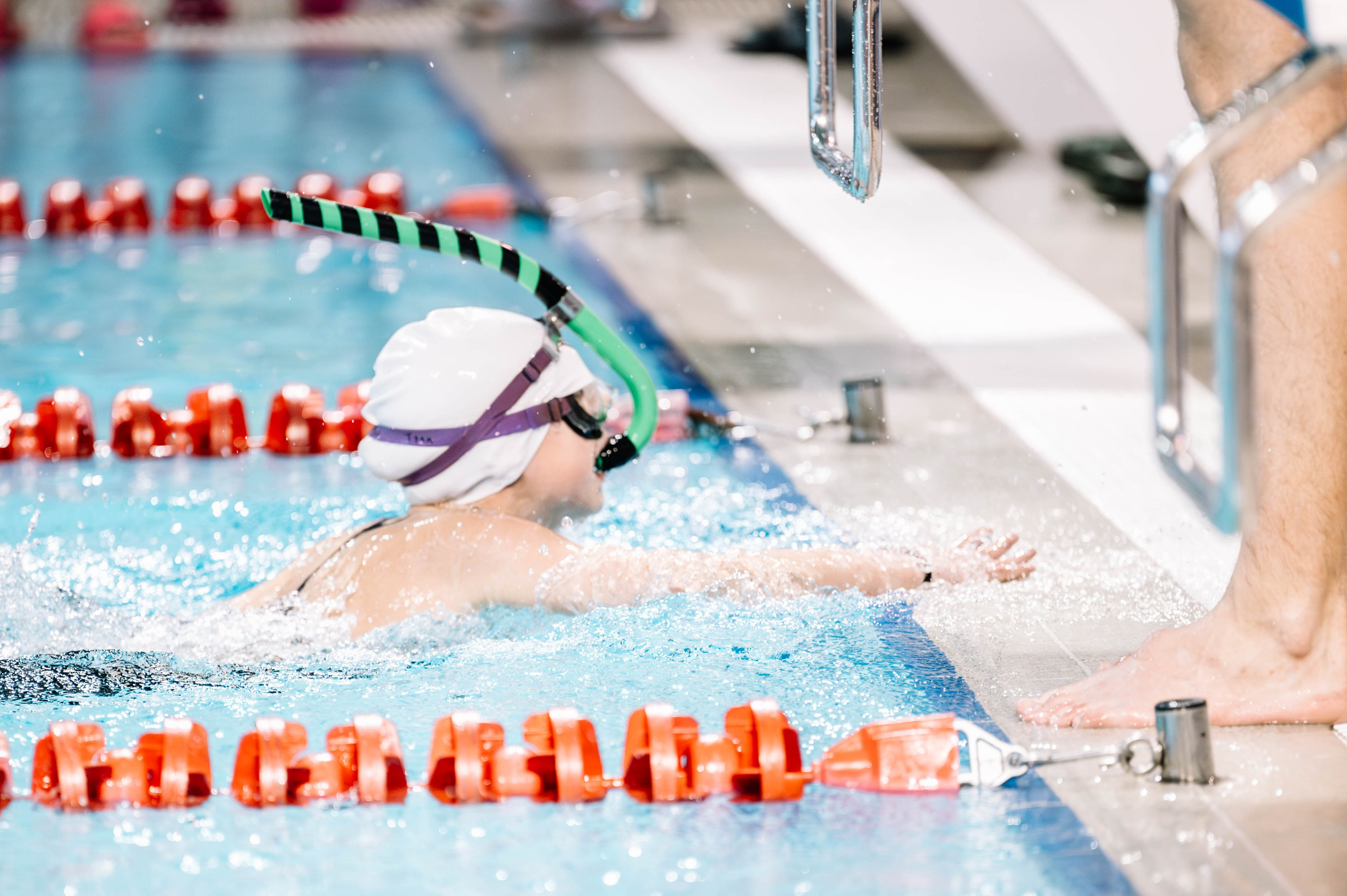 Второй этап кубка плавания ШК Дельфин. Декабрь 2024. Спортивный фотограф в Туле и Тульской области. Файсханова Фото Спорт