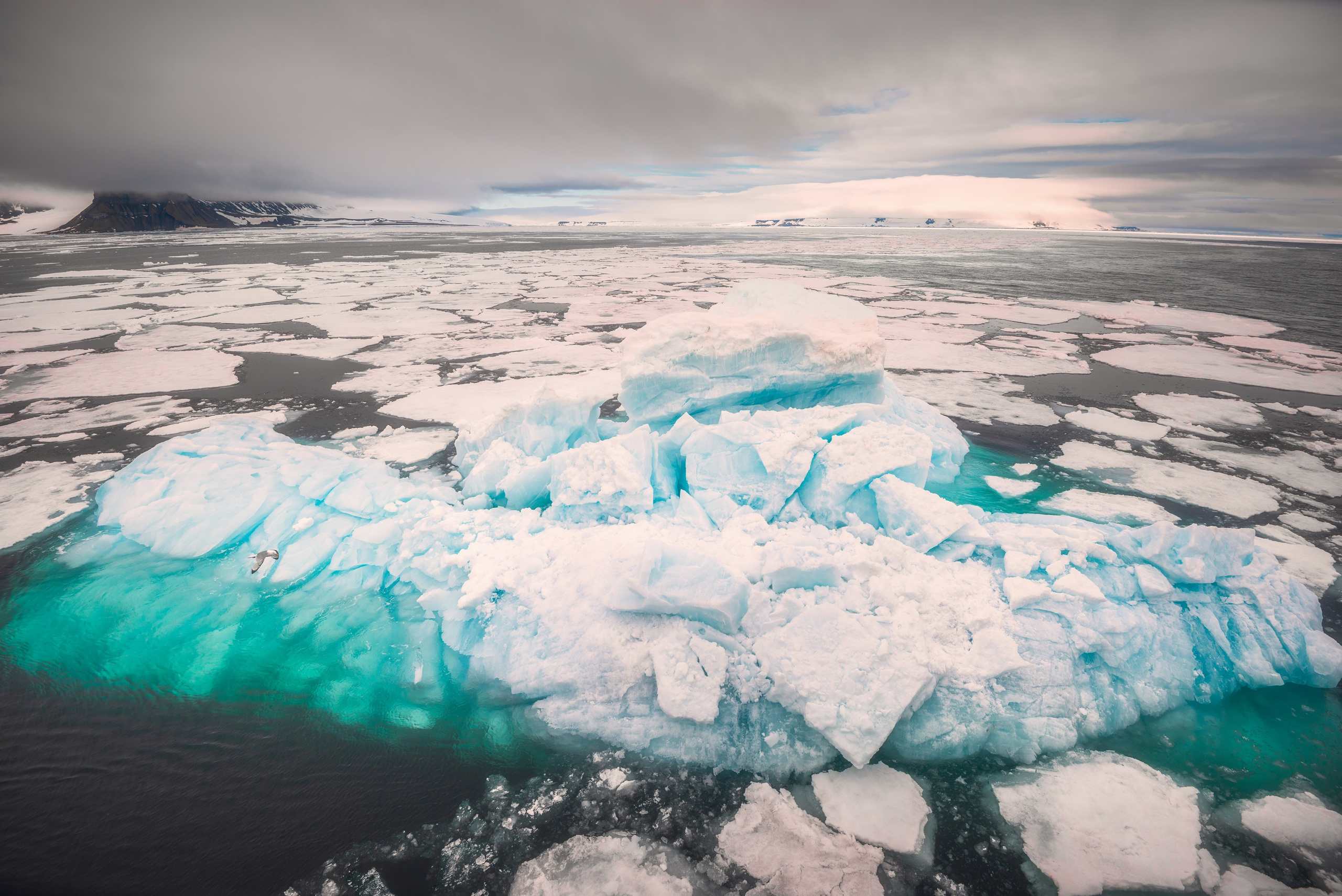 Арктика. Аэросъемка в Архангельске, Александр Ермолин
