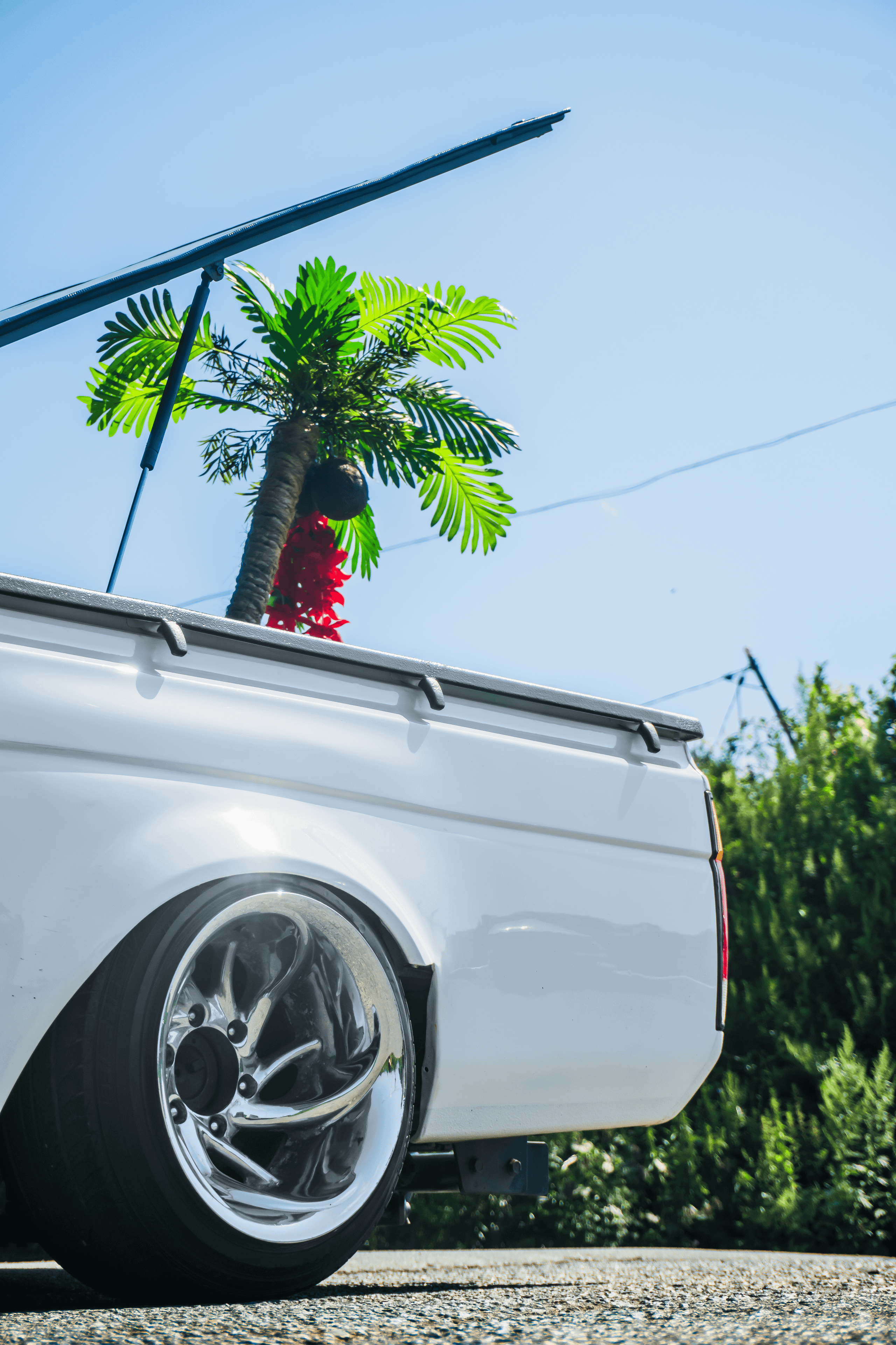 Nissan Datsun: наземная яхта