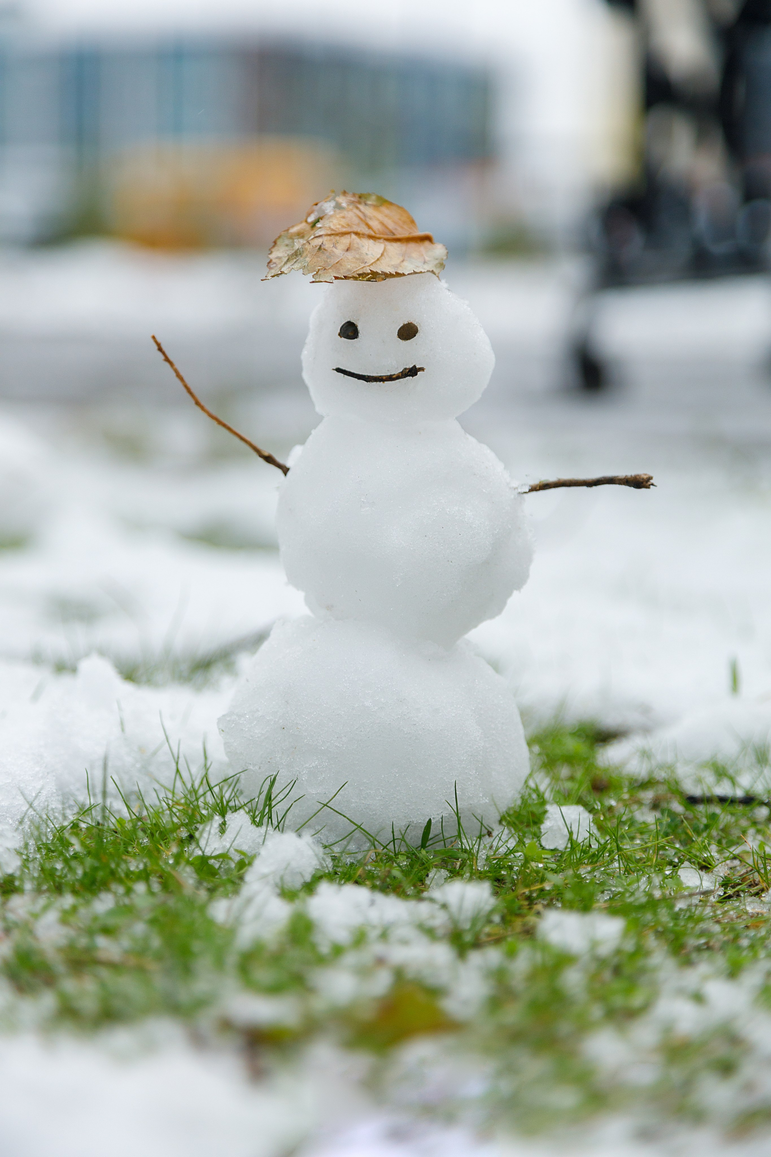 Проект «366»|2024|Фото каждый день. LENA GRACE photographer ||ЛЕНА ГРЭЙС фотограф