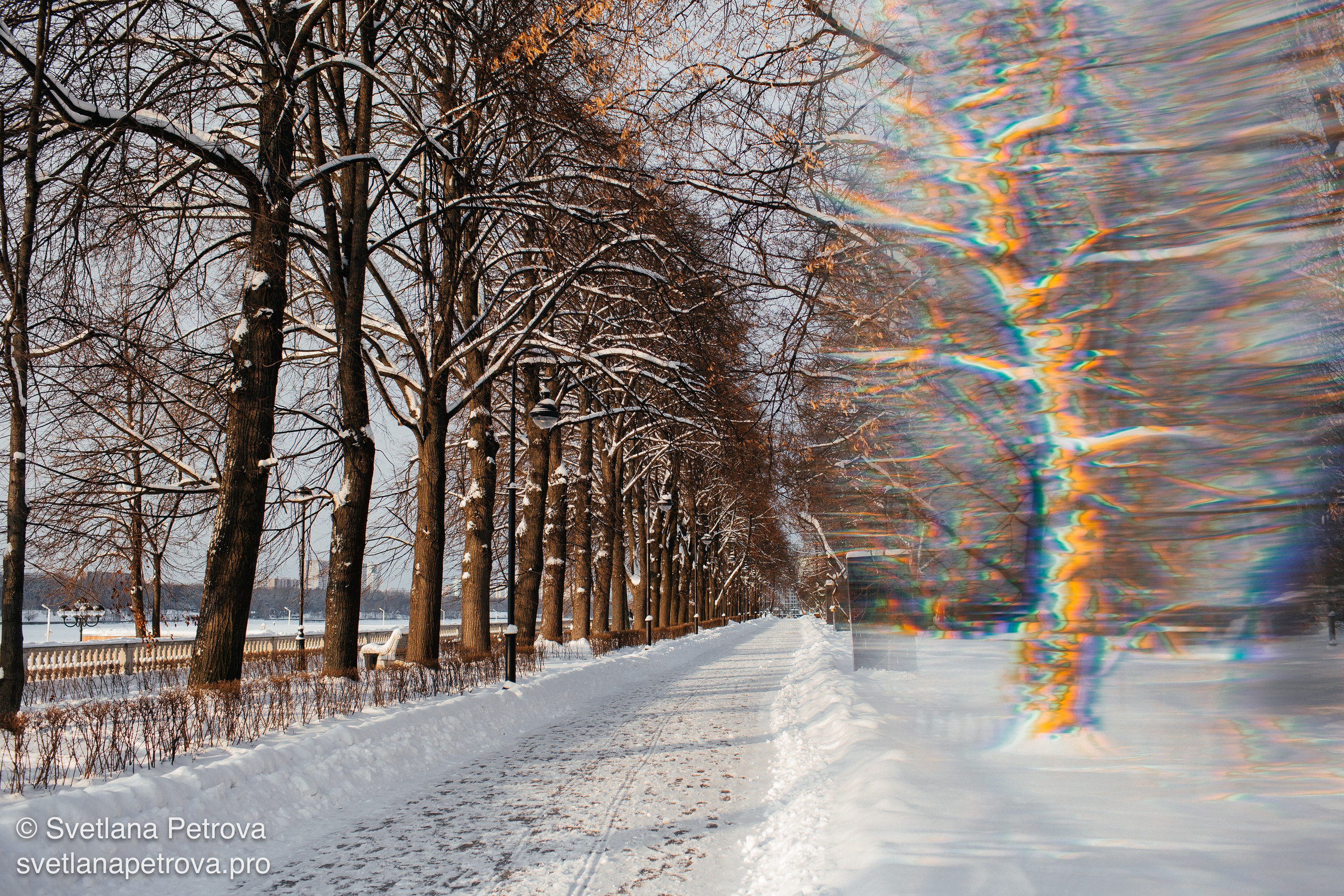 Новогодние Локации 1 января 2026. Фотограф Светлана Петрова