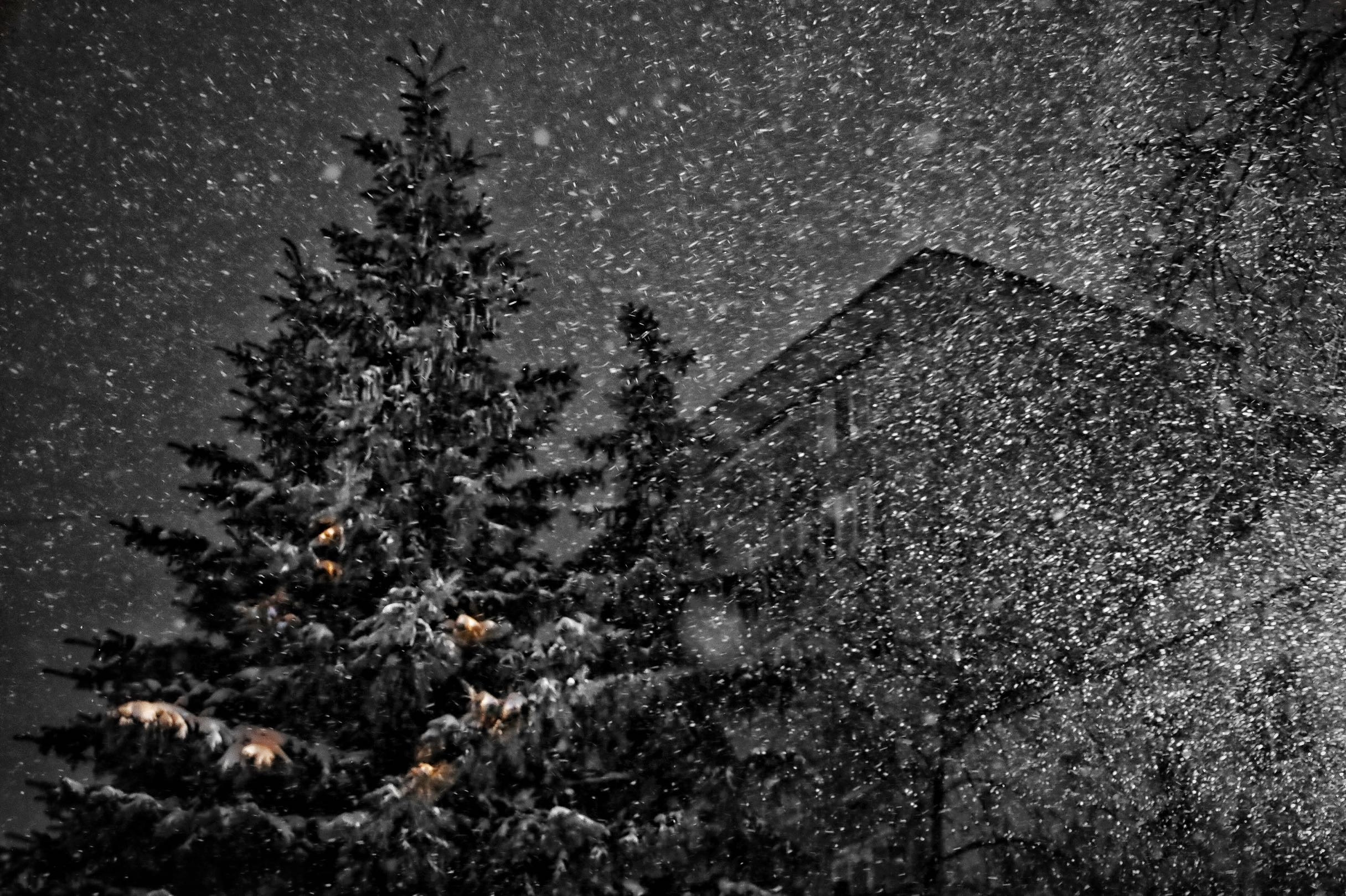 Серия «Подснежники». ANNA PAVLIKOVSKAYA ЧЕРНО-БЕЛАЯ ФОТОГРАФИЯ — ЭТО Я