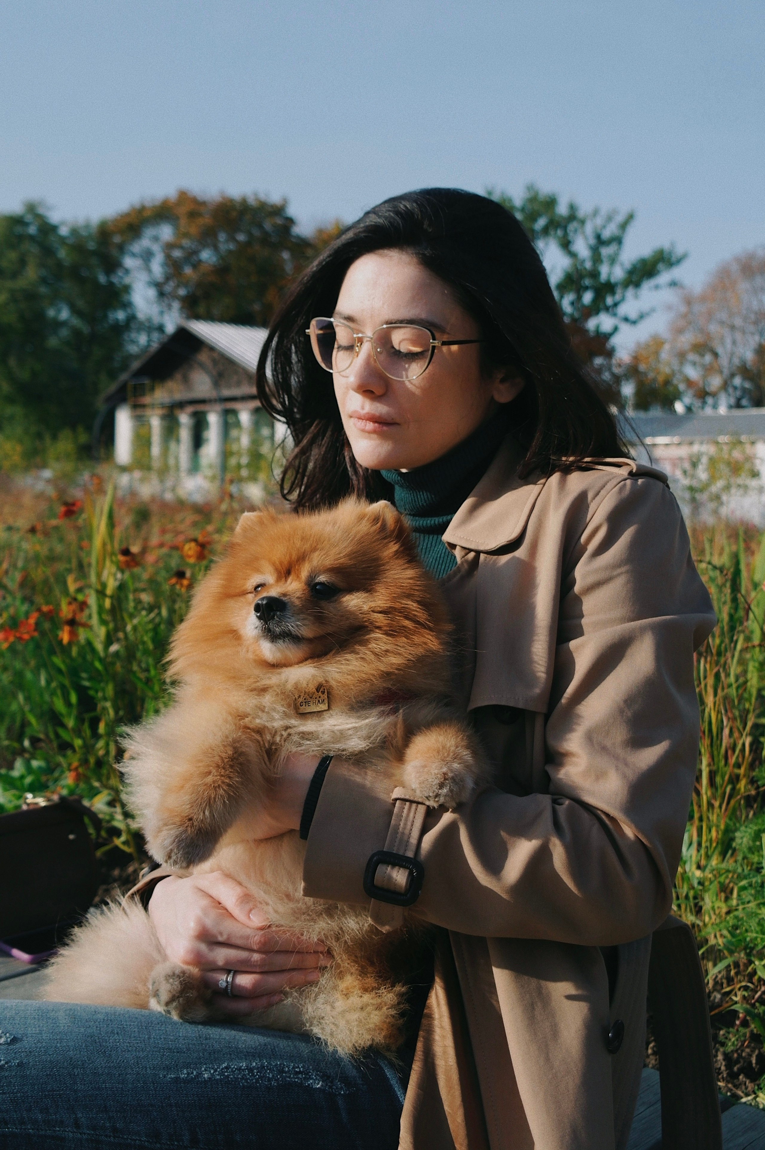 Питомцы. Татьян гертье