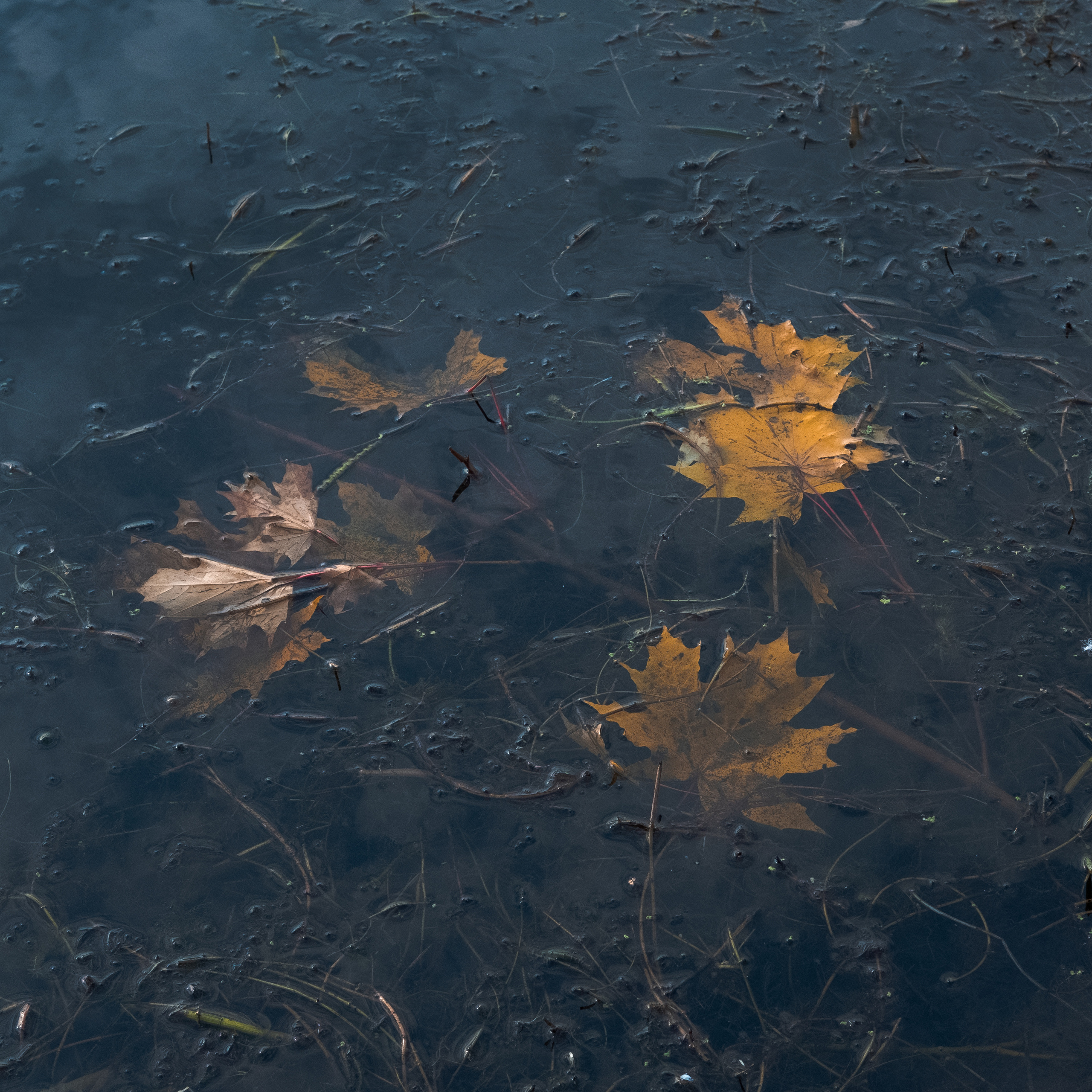Повседневность. Главная