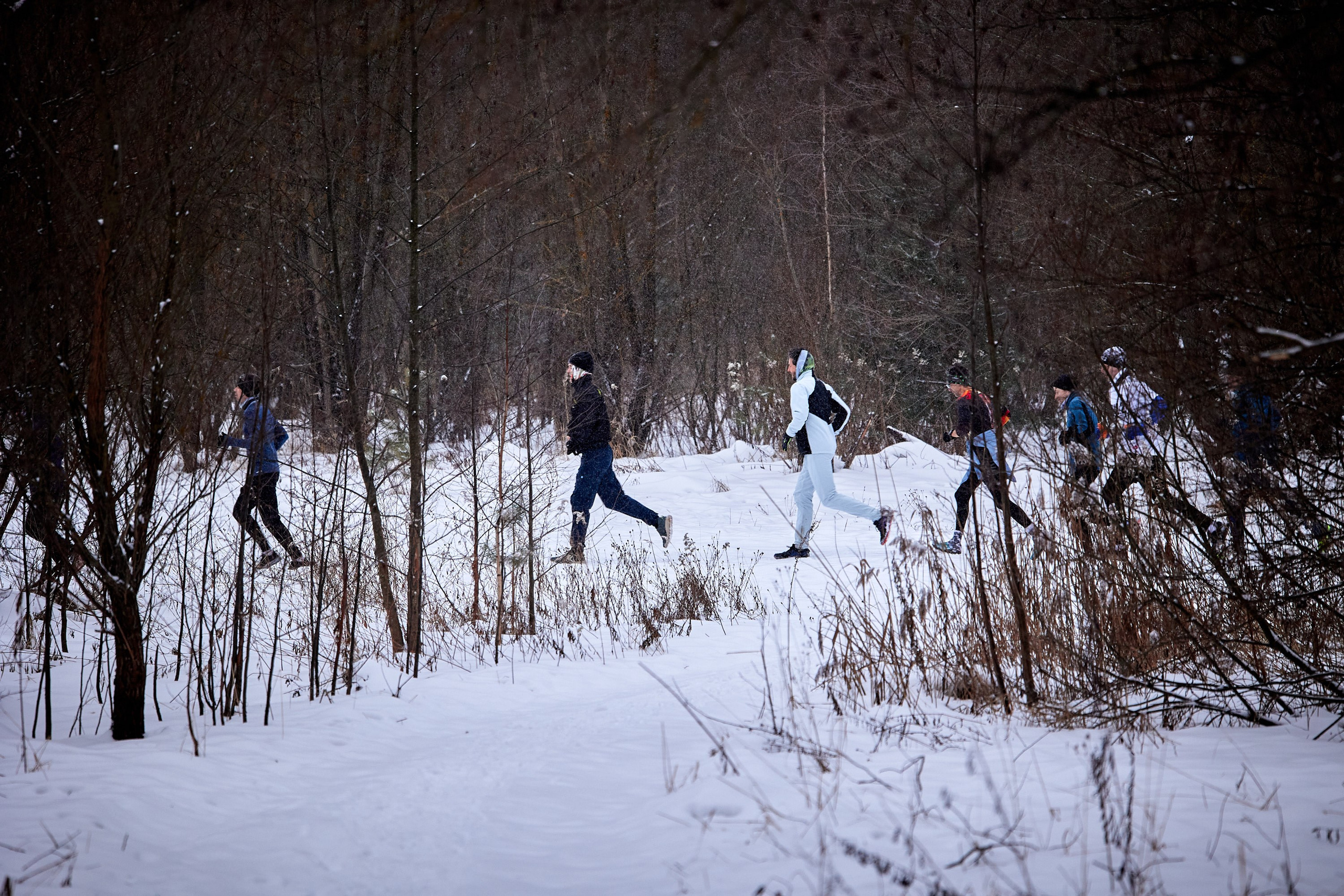 Близко Зима. Спортивный и репортажный фотограф Андрей Баскаков