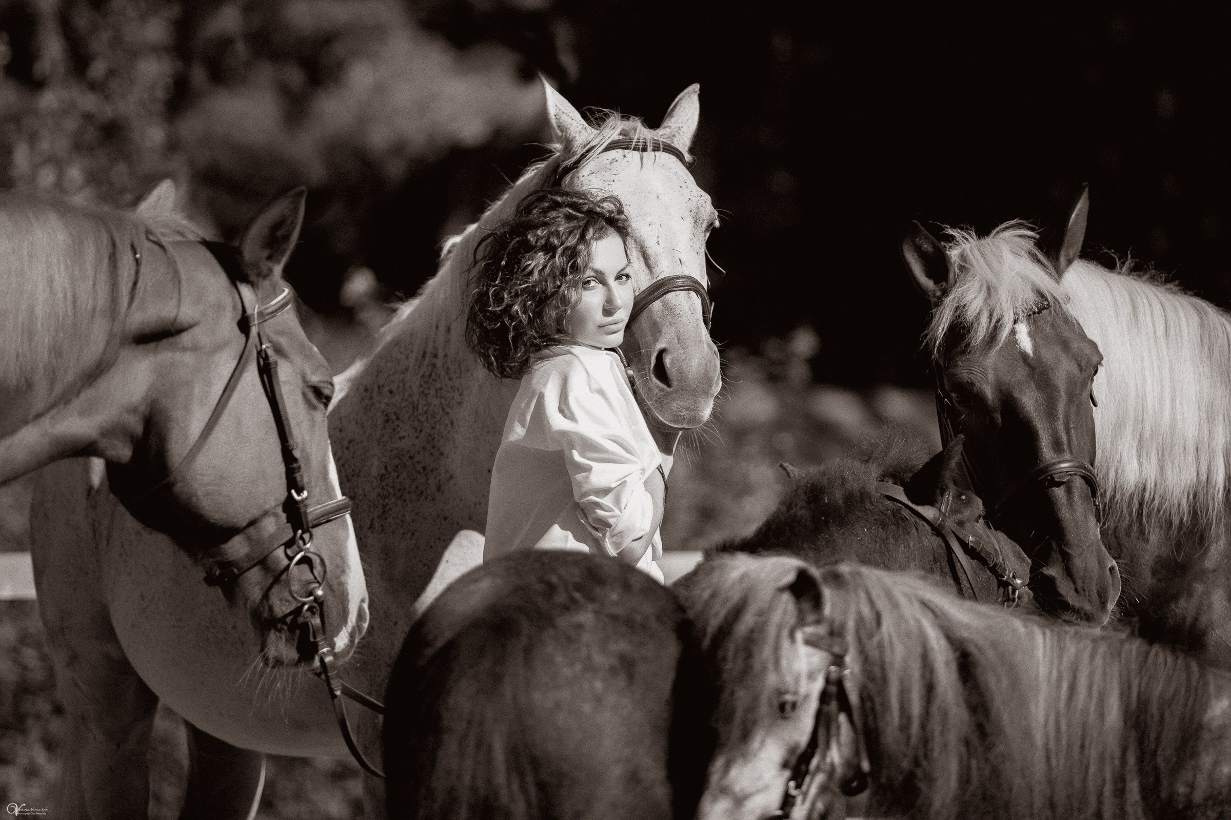 Фотосессия с лошадьми в кантри стиле. Фотограф женский и мужской портрет Санкт-Петербург