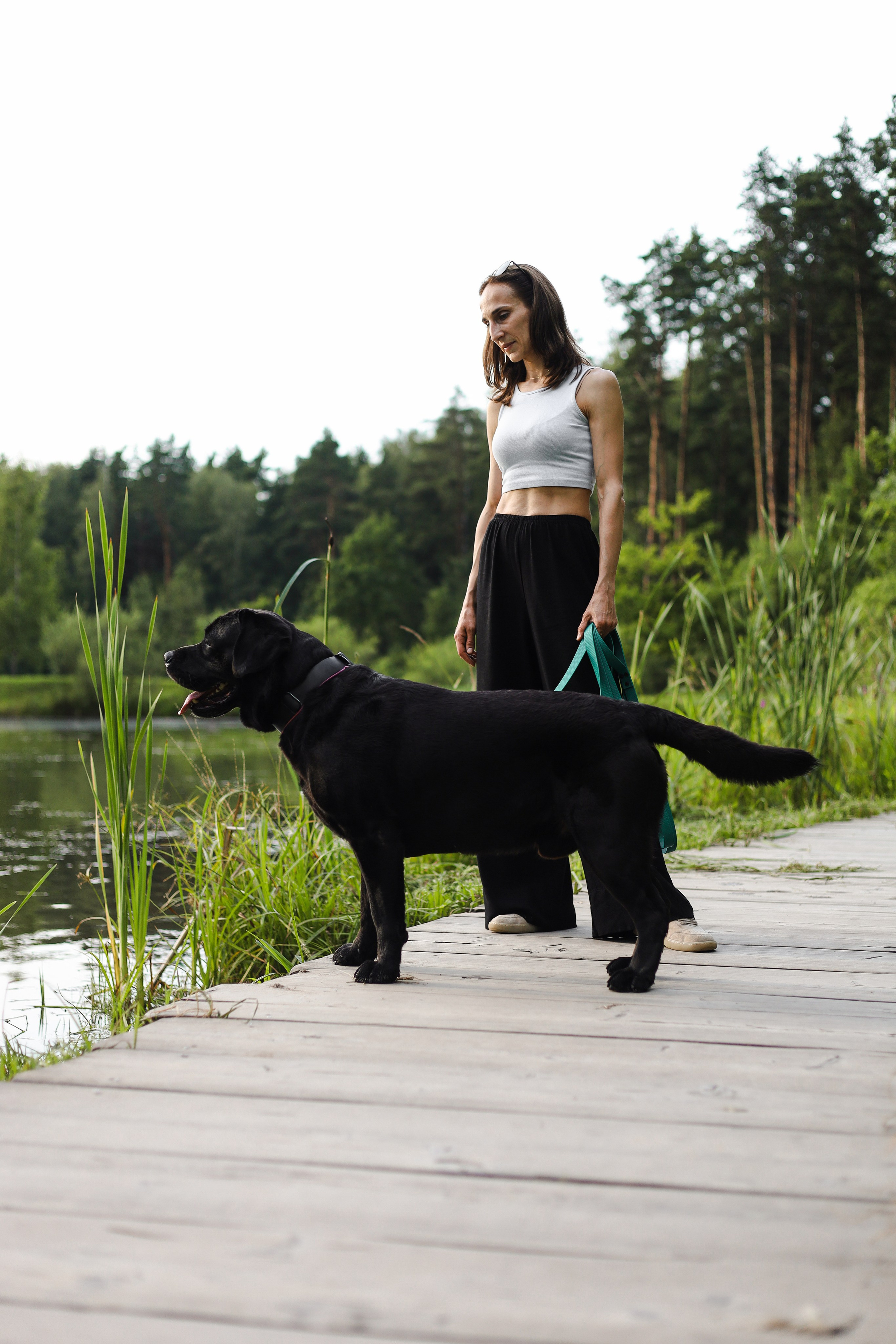 Найт и Соня. Фотограф-анималист Ксения Шевцова|Москва