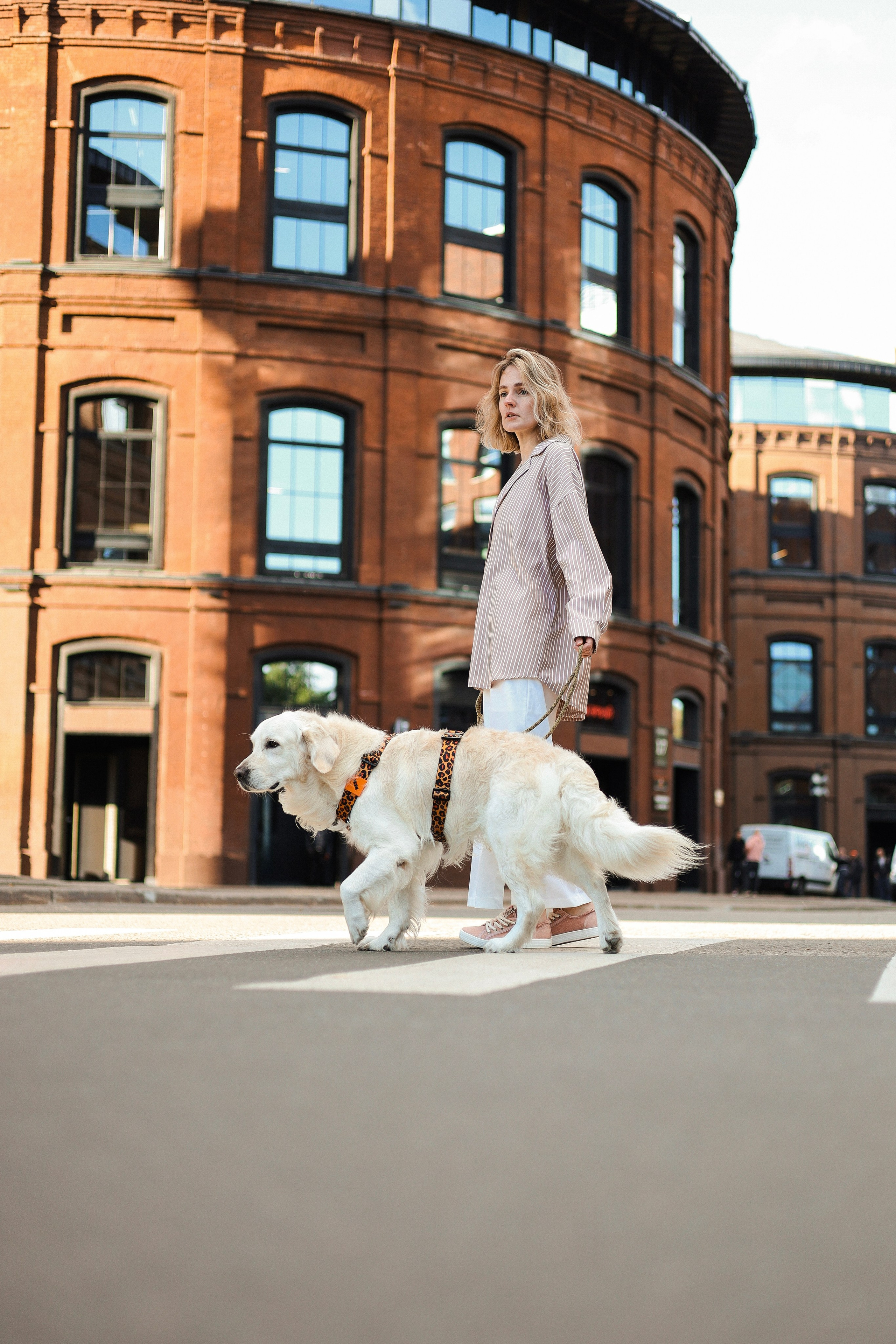 Зиз и Юля. Часть 3. Фотограф-анималист Ксения Шевцова|Москва