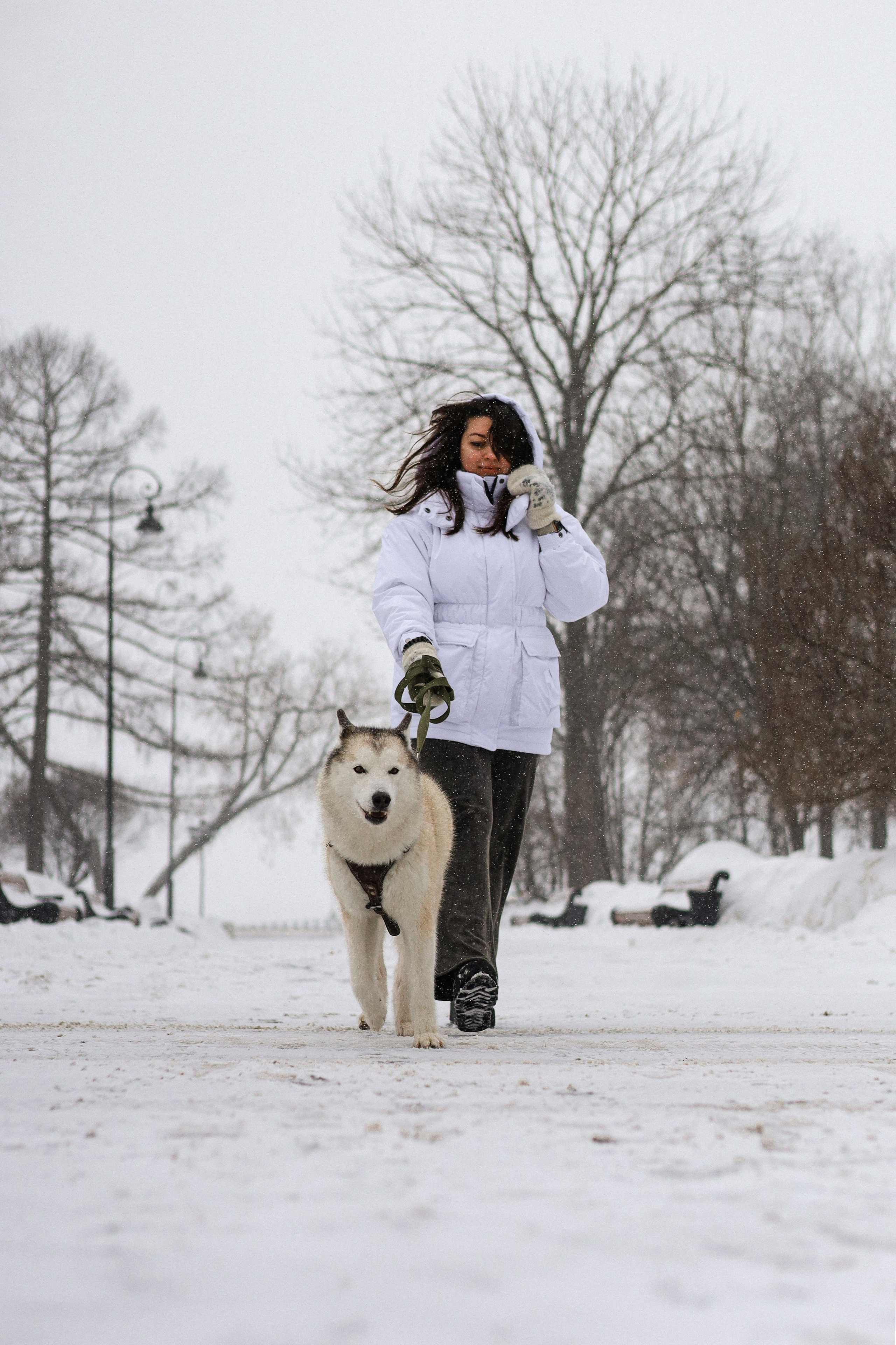 Мила, Лиза и Матвей. Фотограф-анималист Ксения Шевцова|Москва
