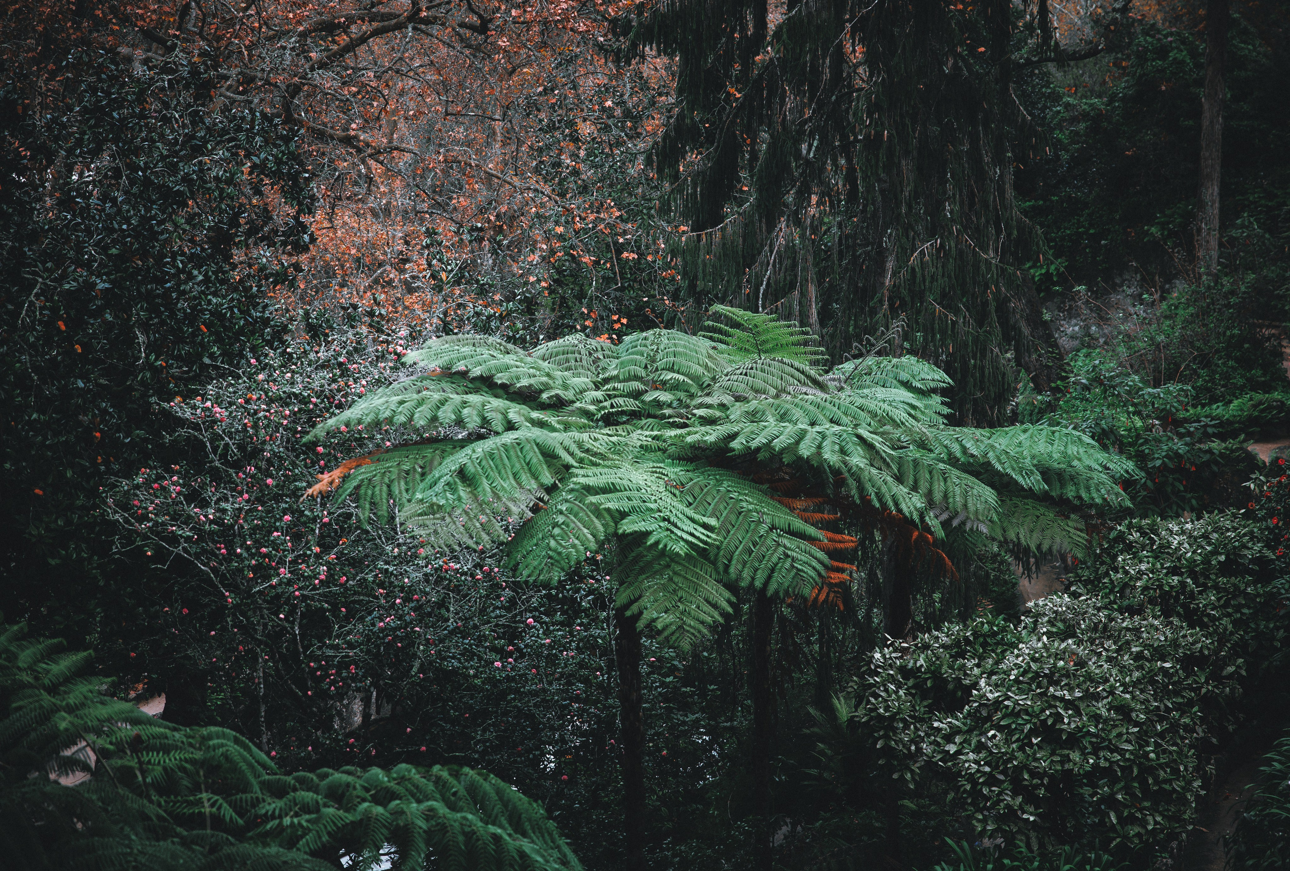 Природа. Фотограф в Москве Андрей Овчаров