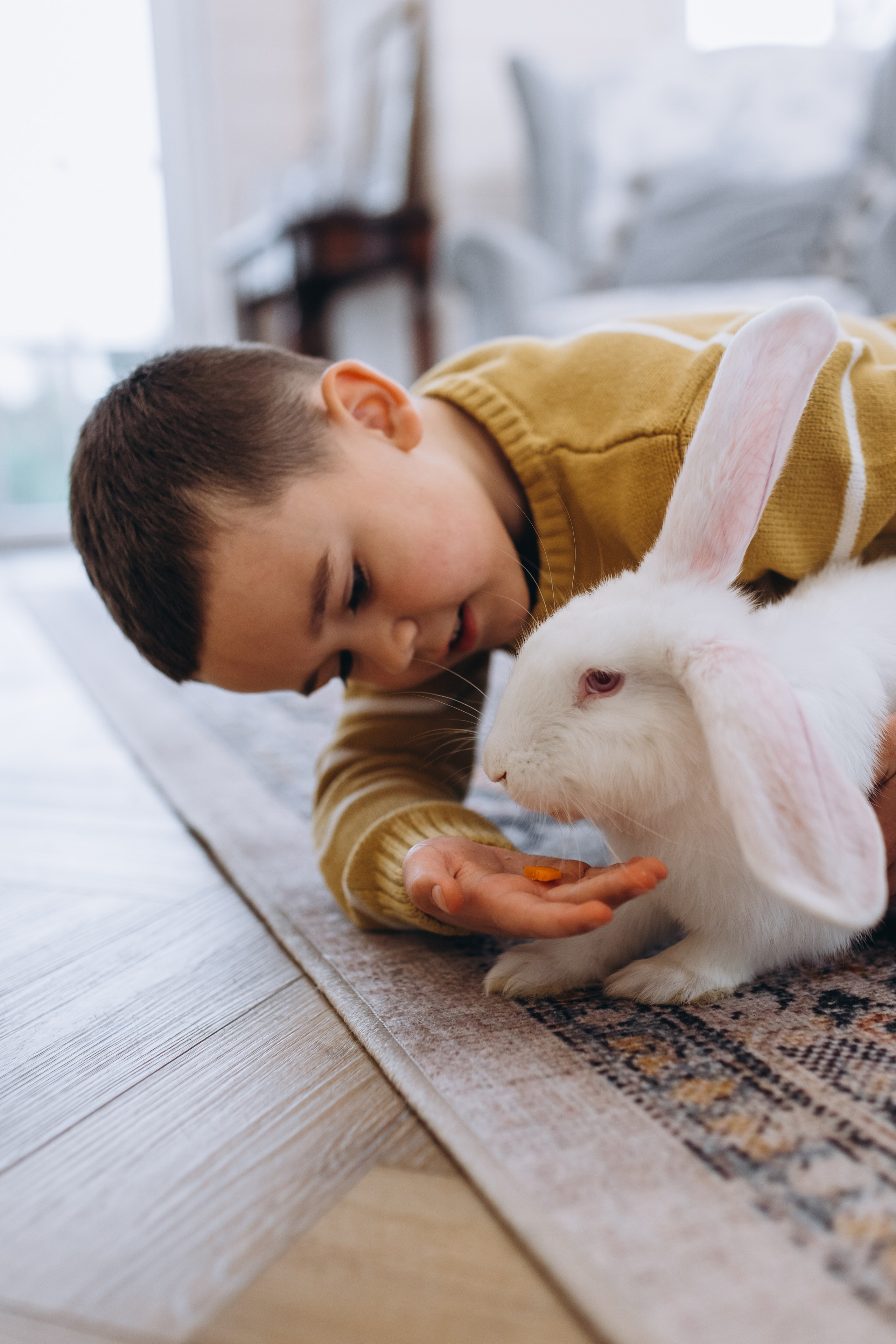 Людмила и Никита. Елена Семейный фотограф Санкт-Петербург