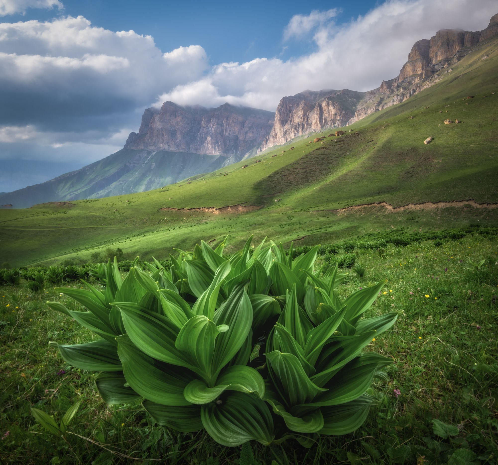 Фотографии Кавказ