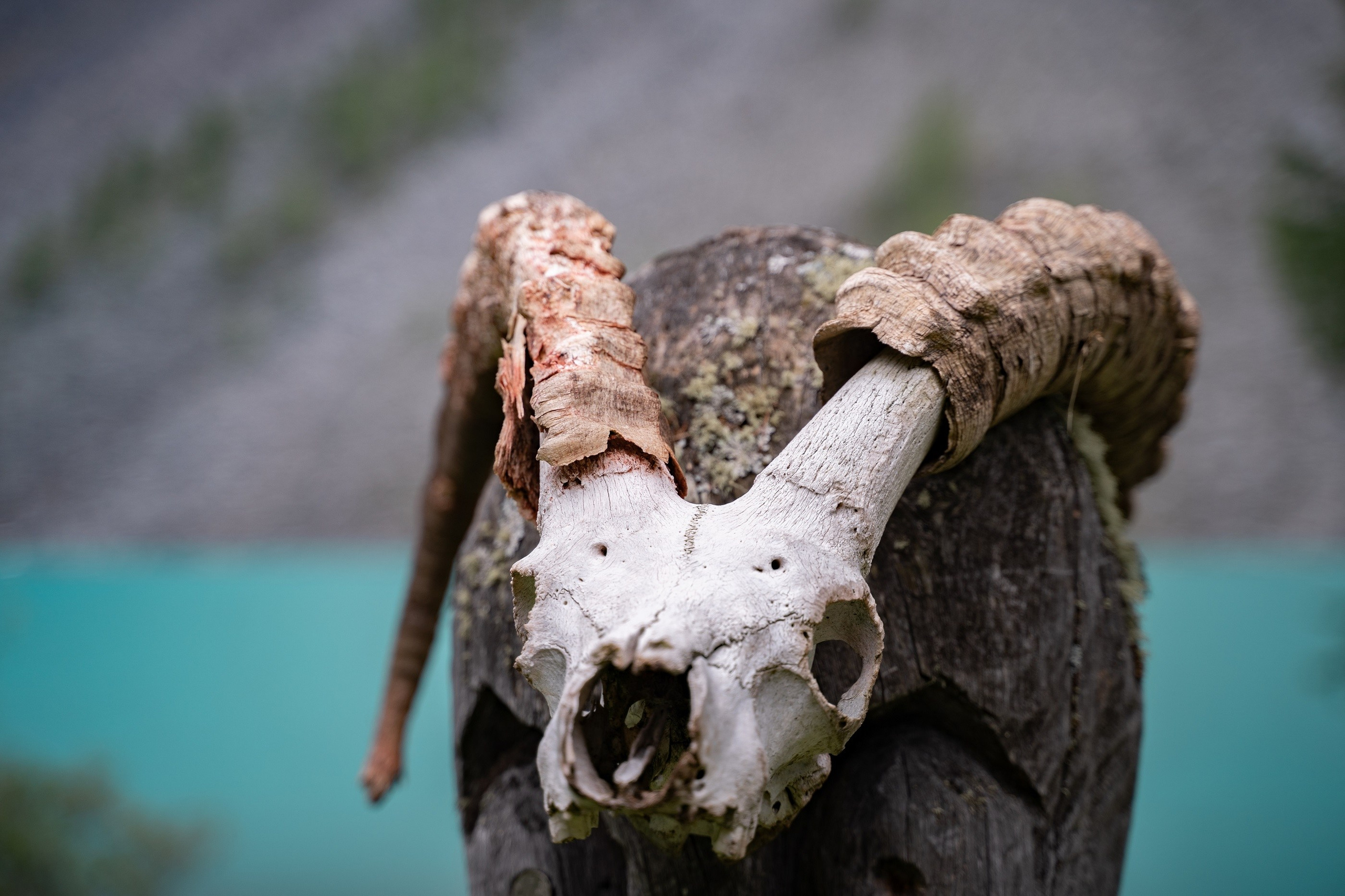 Алтай. Шавлинские озера. Фотограф в поход и восхождение на Эльбрус Игорь Косарев