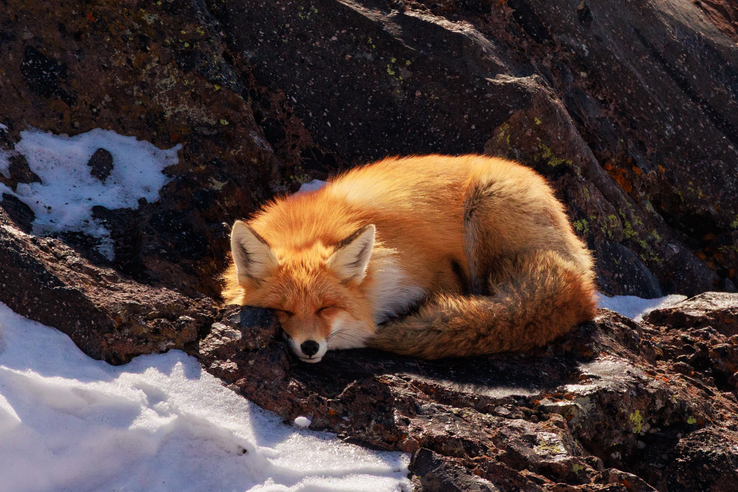Эльбрус. Фотограф Мальнева Юлия в Липецке, в Москве. Фотостудия MARU в Липецке