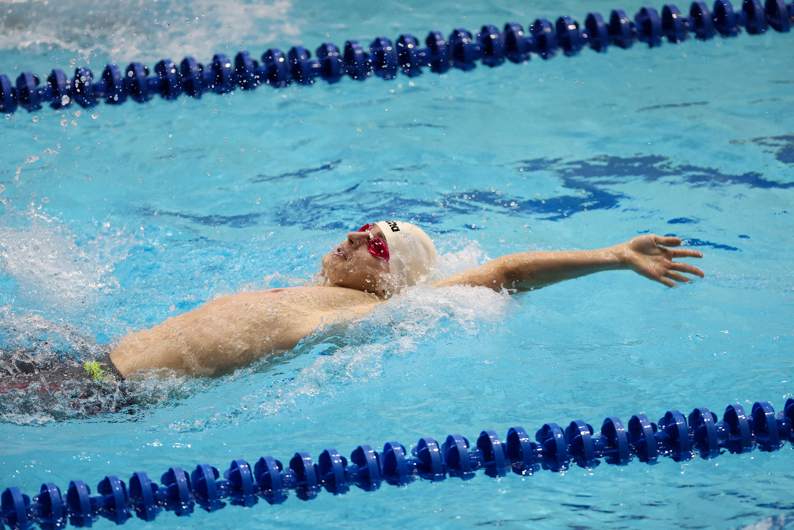 Чемпионат России по плаванию 25 м 20-25.11.2023. Спортивный и репортажный фотограф Антон Тереханов