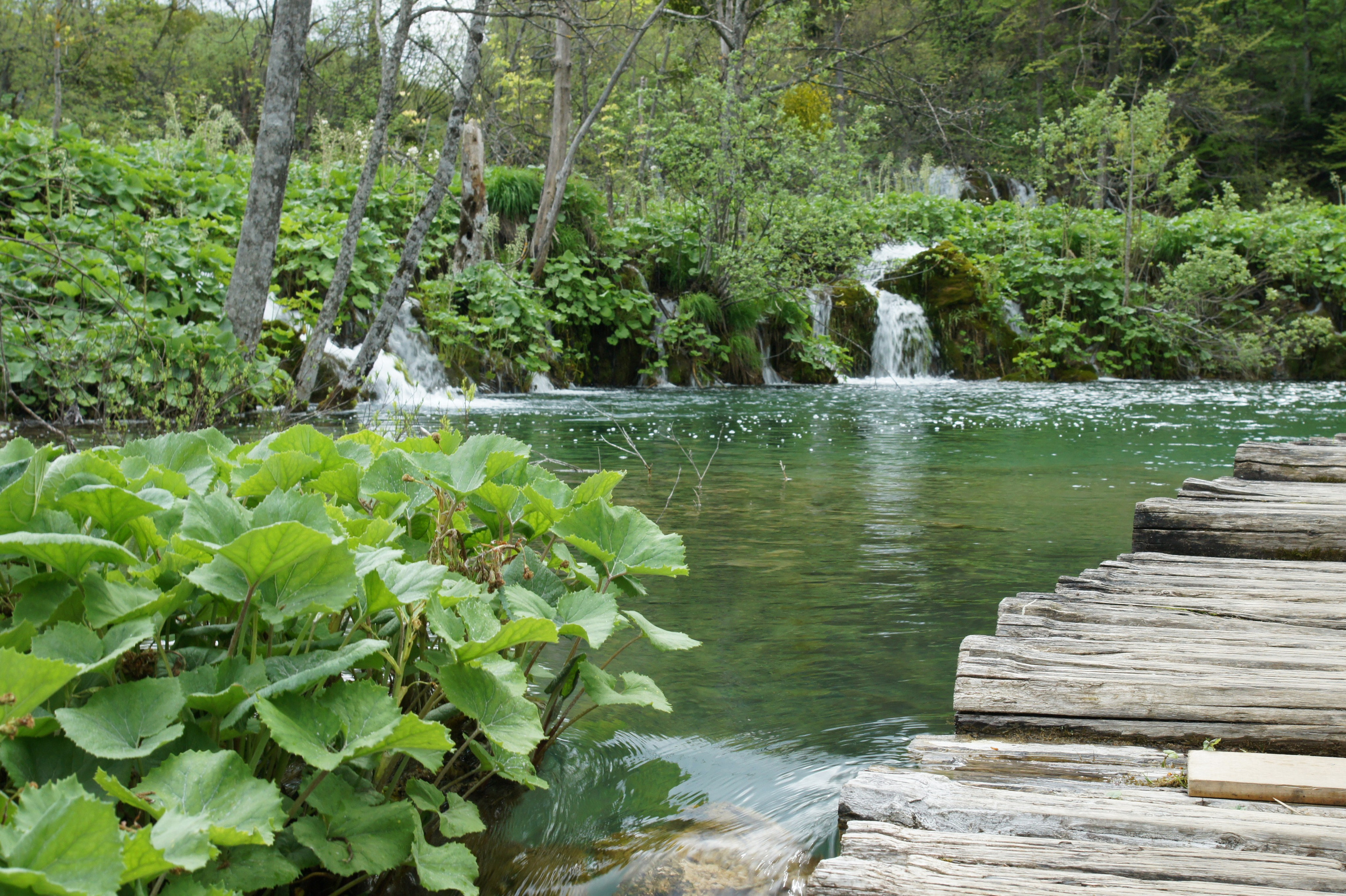 Хорватия. Главная