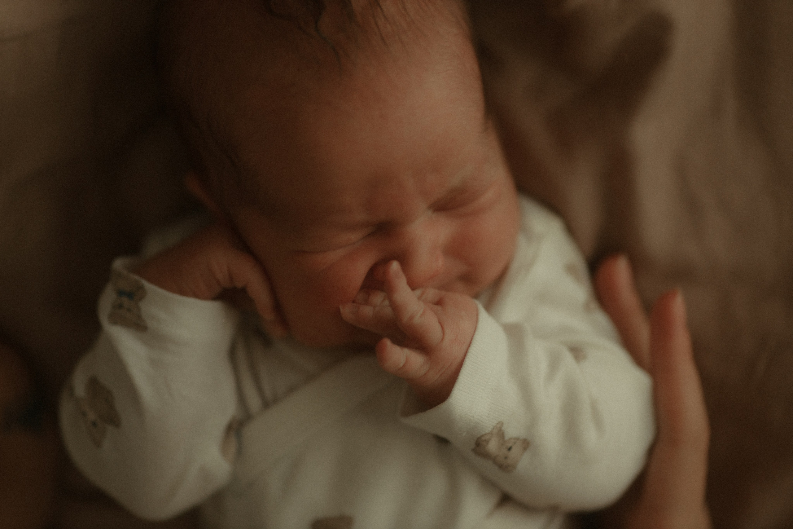 Выписка Милании. Семейный фотограф, фотограф новорожденных в Москве, Анастасия Федяева