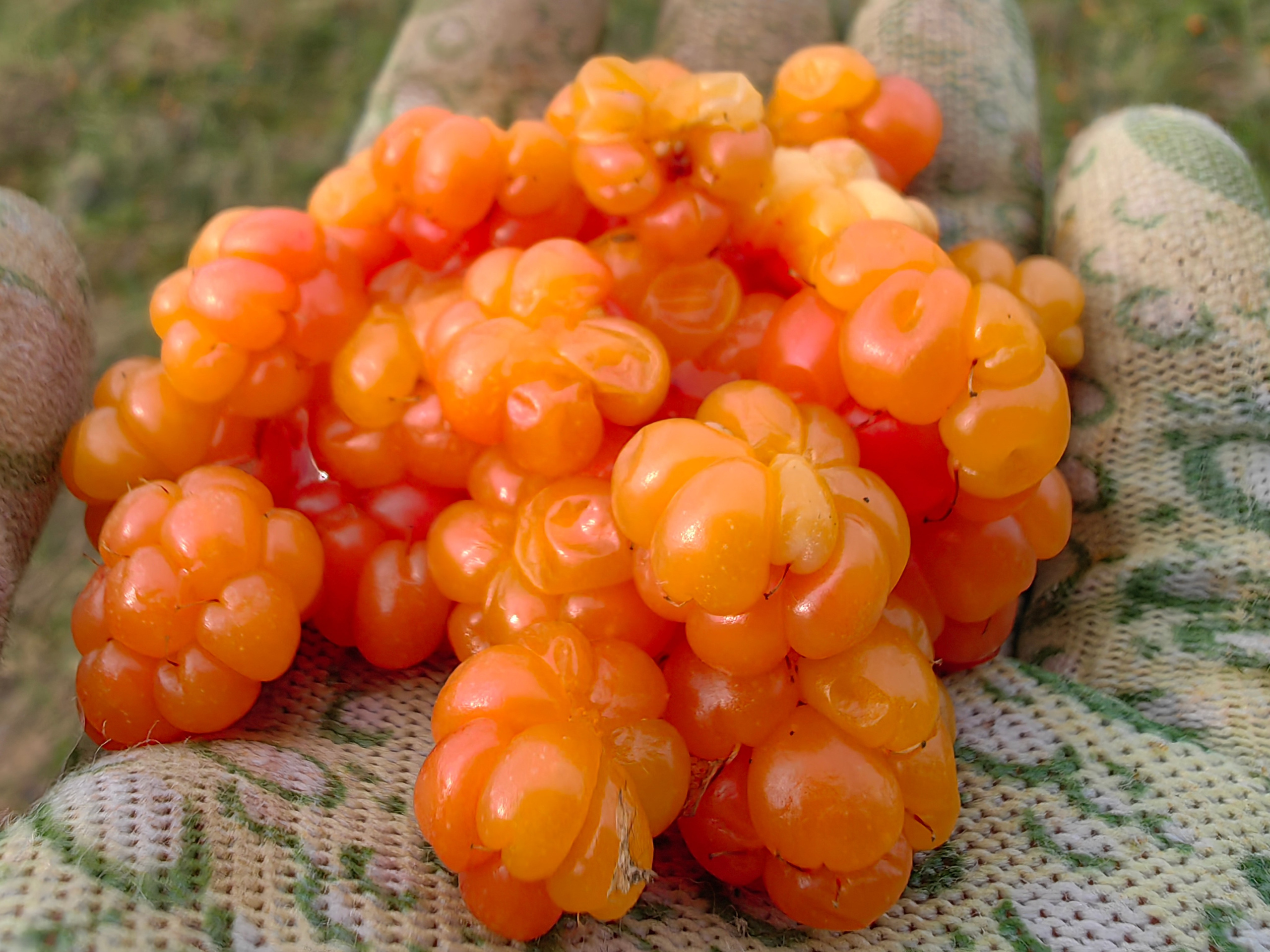 Чукотка. Mara Art Foto | Фотограф в Москве и Нижнем Новгороде