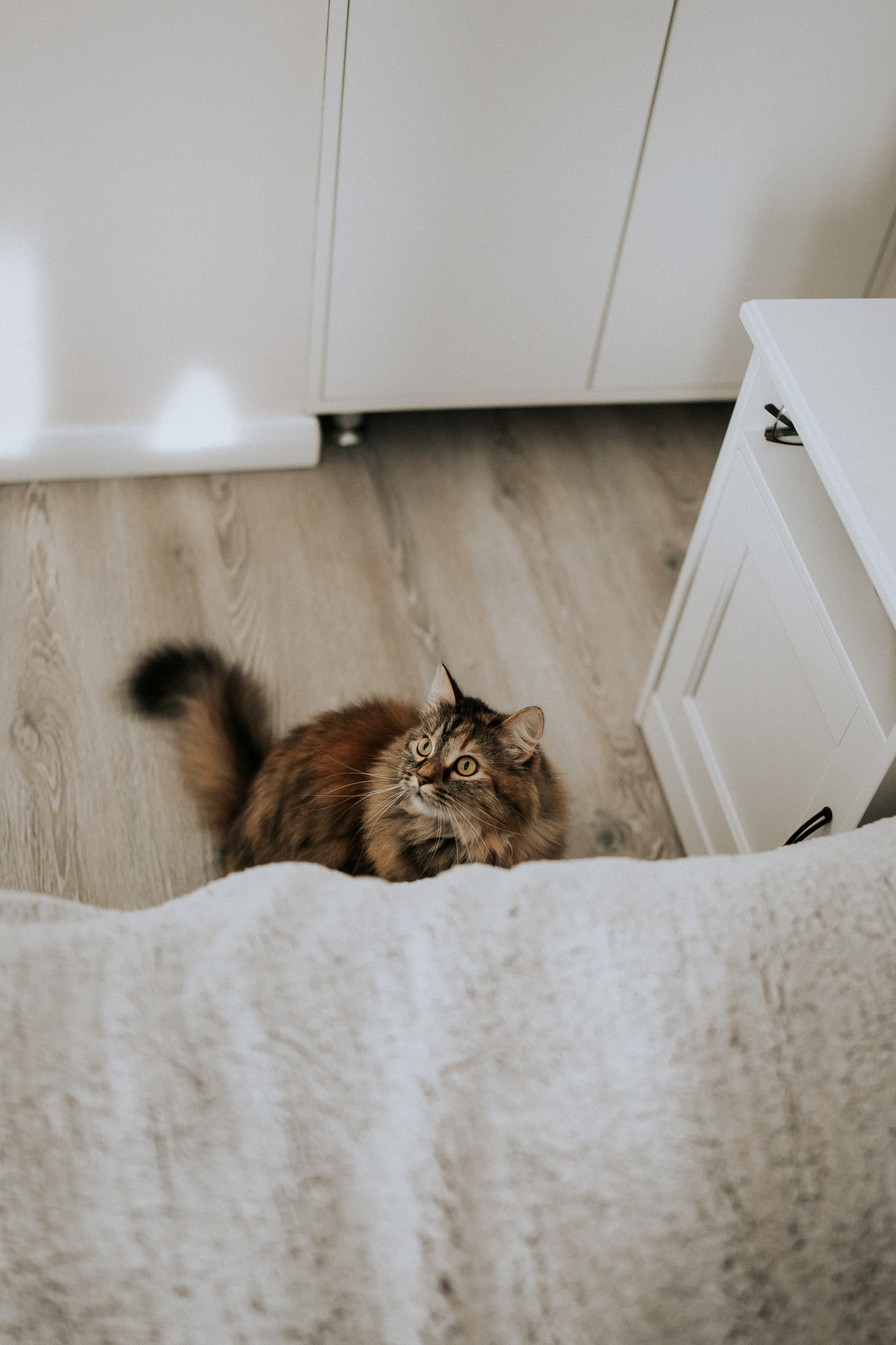 Мама, папа и Миша. Фотограф в Тюмени Пушкарева Анастасия