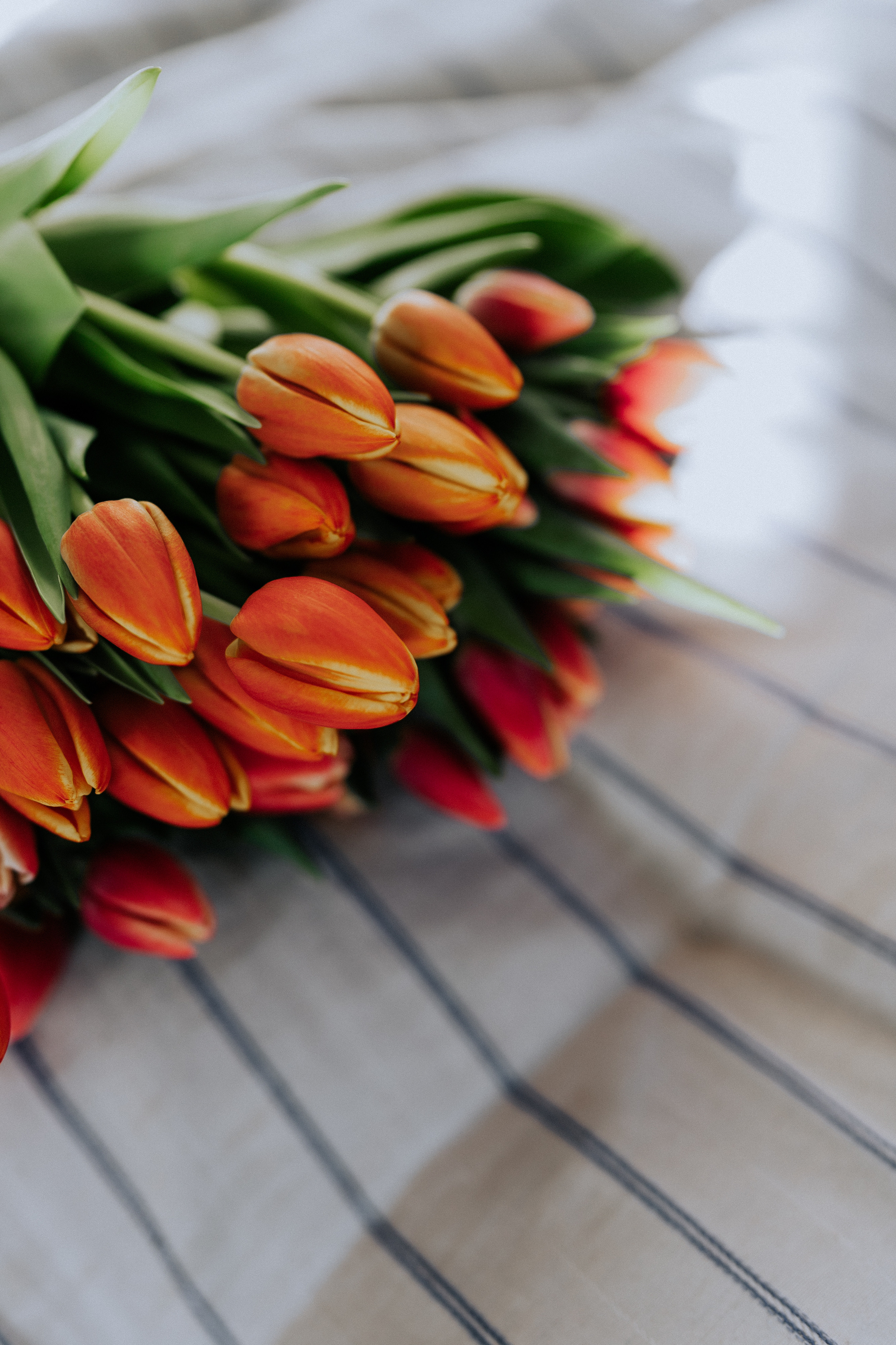 Евгения. Фотограф в Тюмени Пушкарева Анастасия