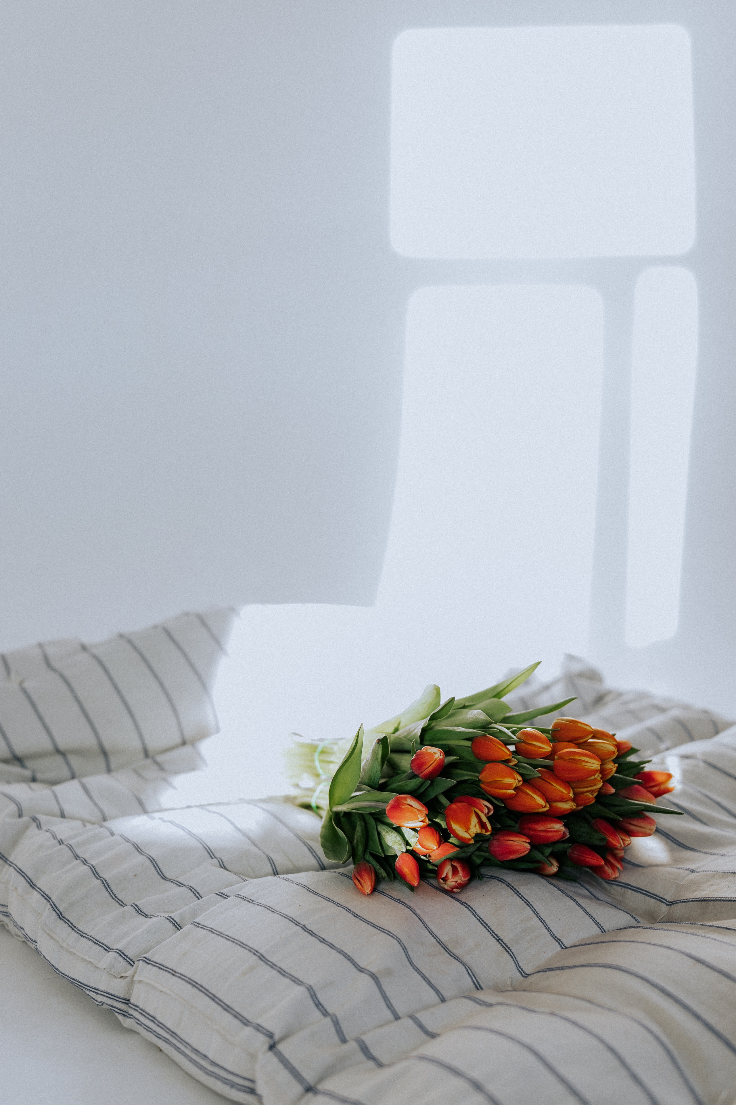 Евгения. Фотограф в Тюмени Пушкарева Анастасия