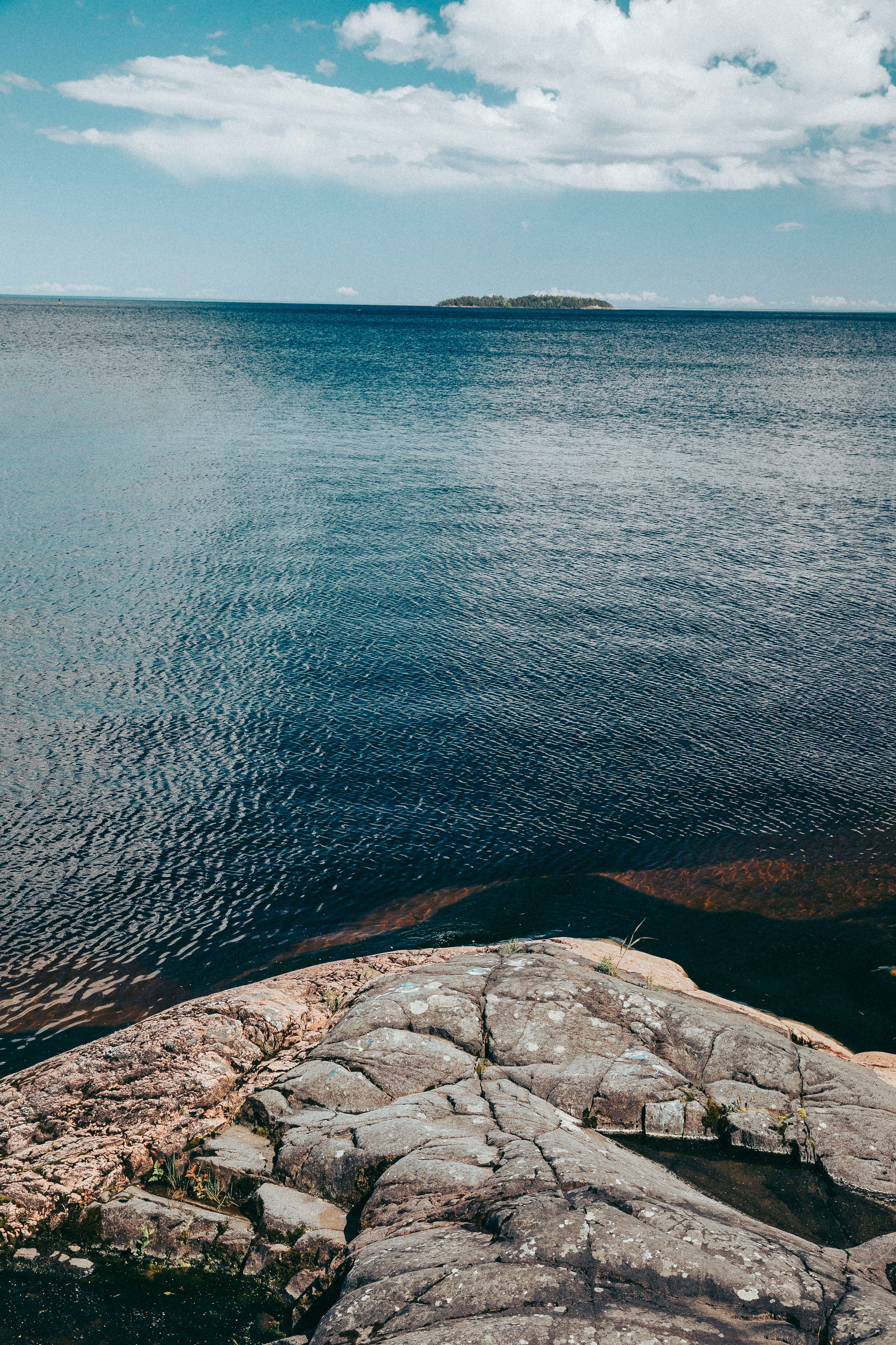 Папа и дочка. Фотограф в Москве Шаганова Нина