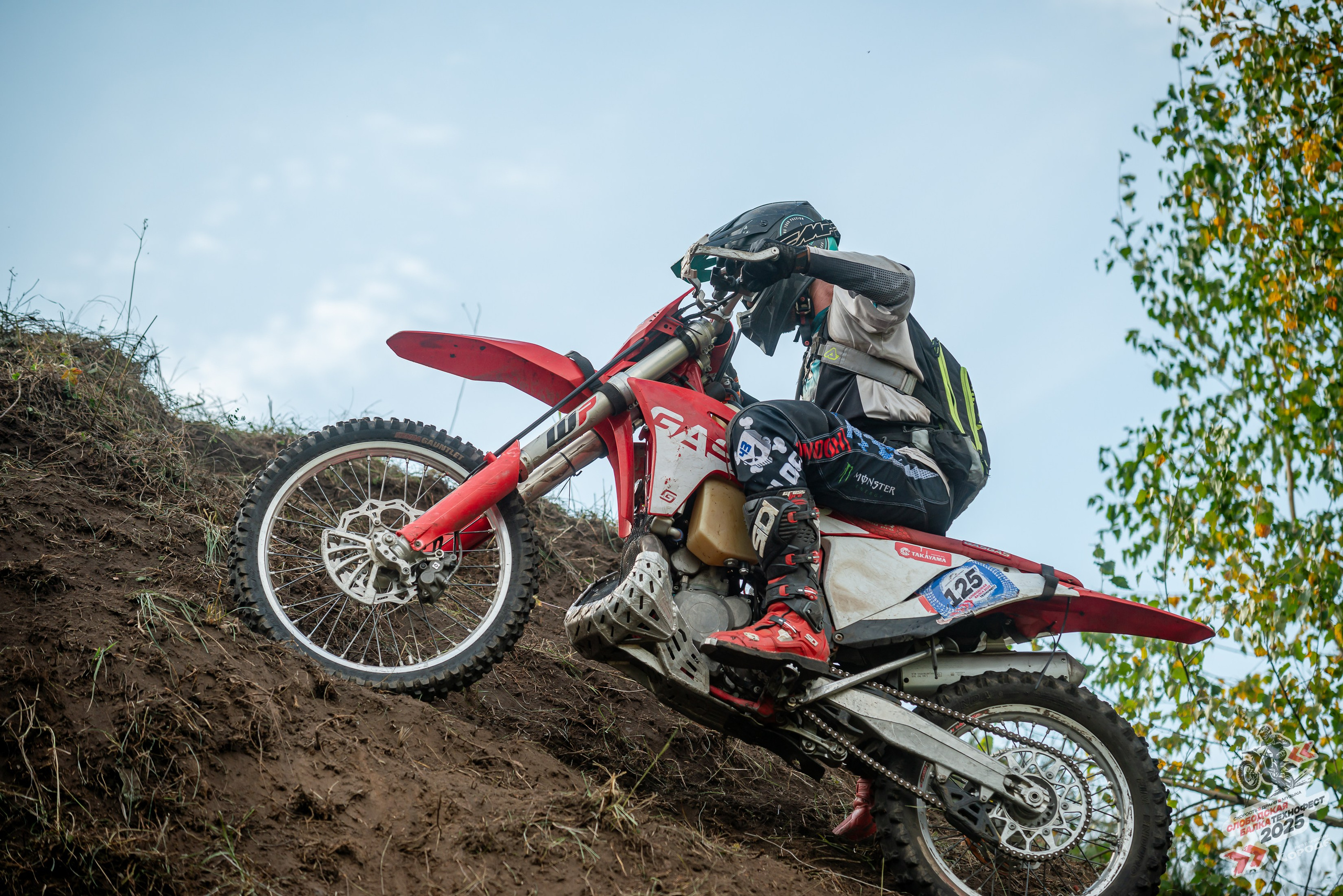 Слободская балка 2025. Фотограф | Макс Борода