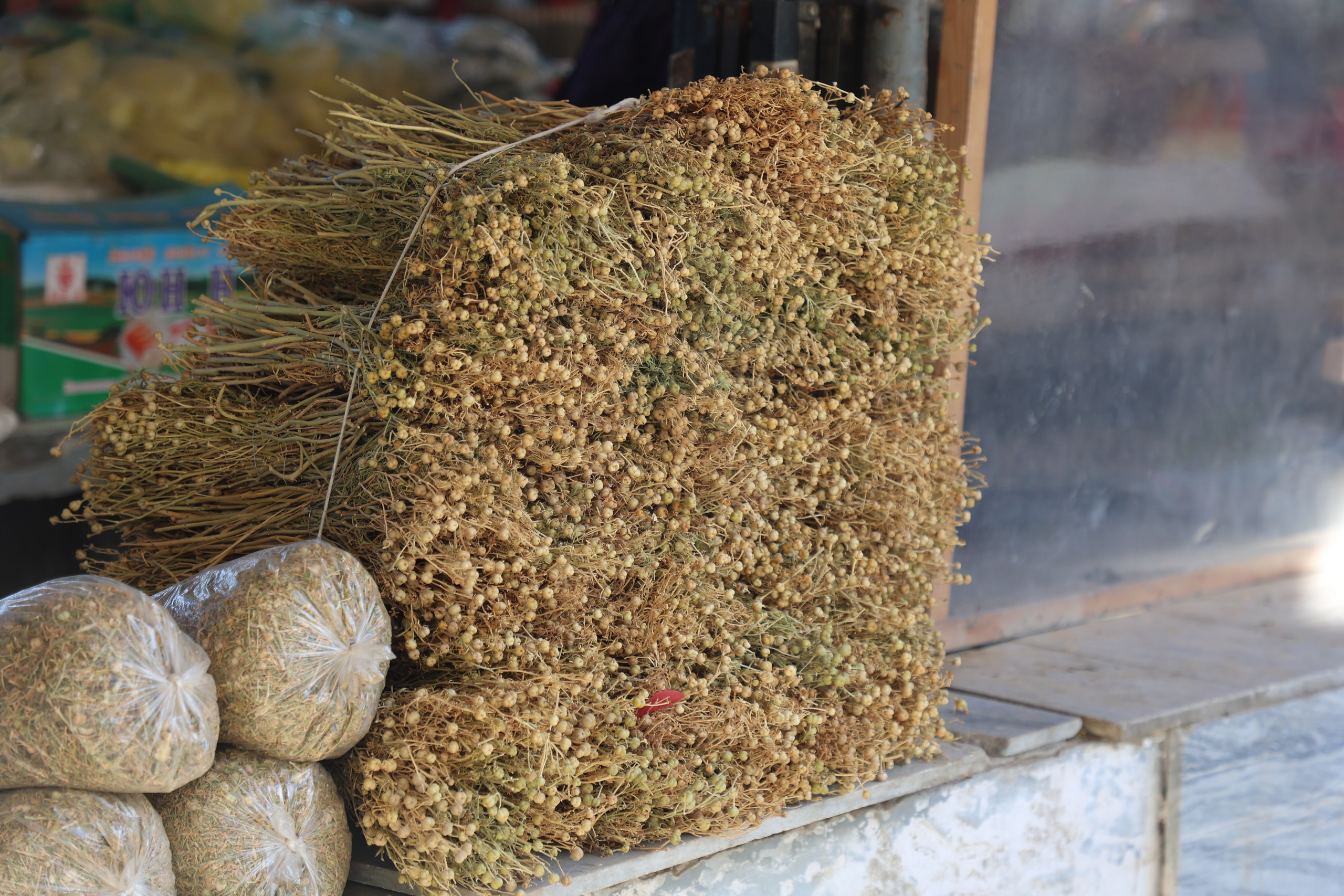 Tashkent, Uzbekistan. Andrey Filippov Photographer