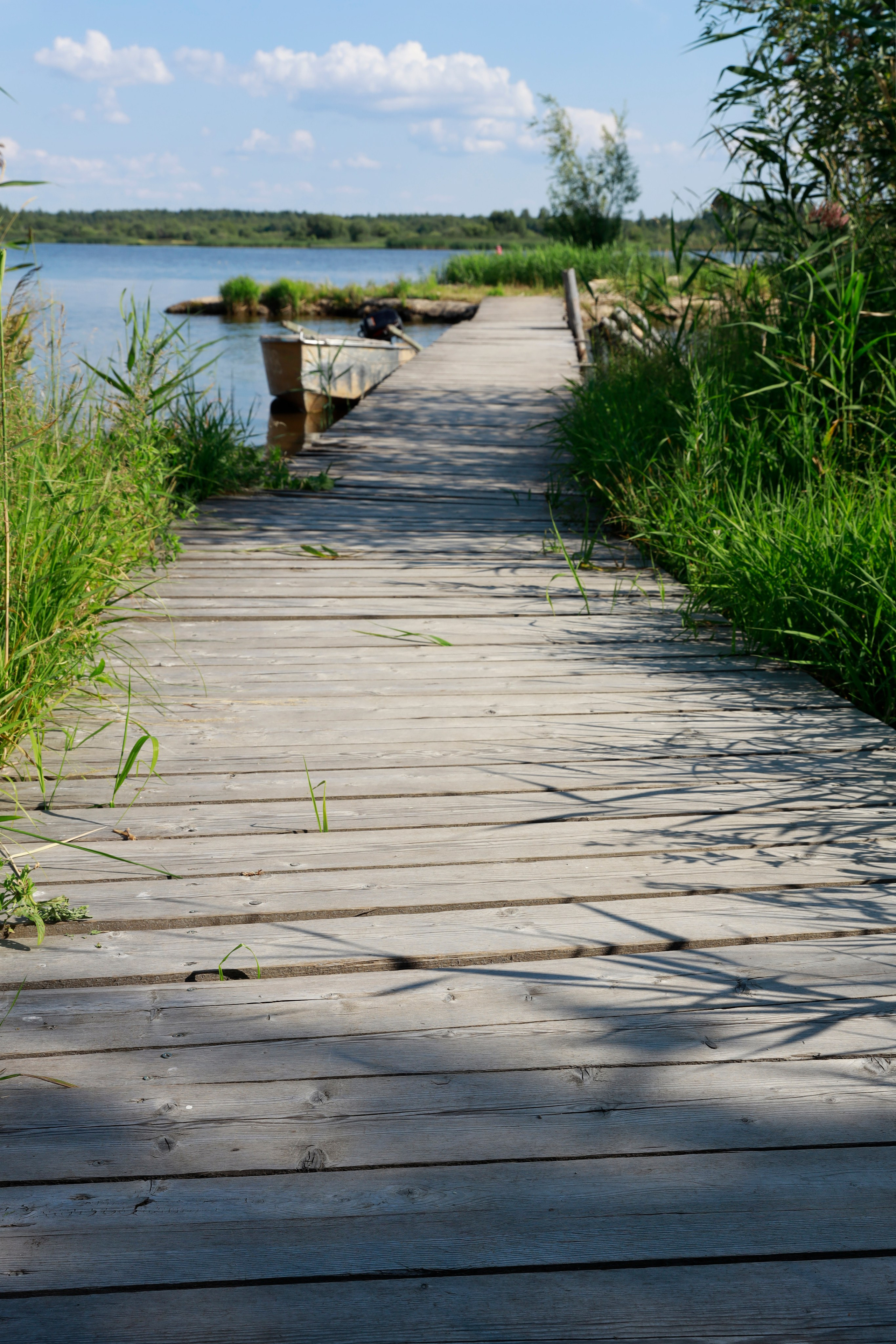 Вне студии. Фотограф Светлана Заплатина