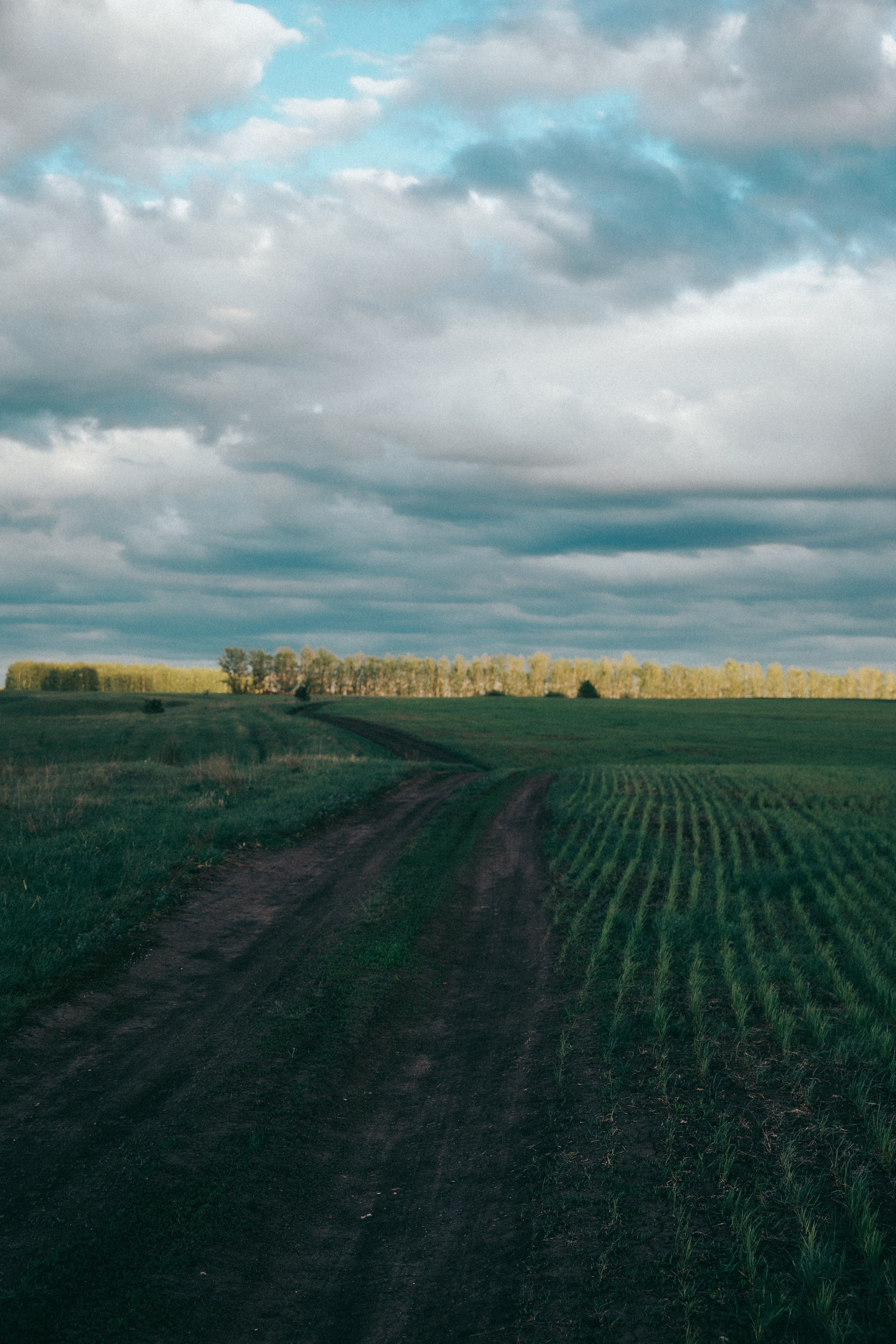 Варвара. Фотограф в Москве Шаганова Нина