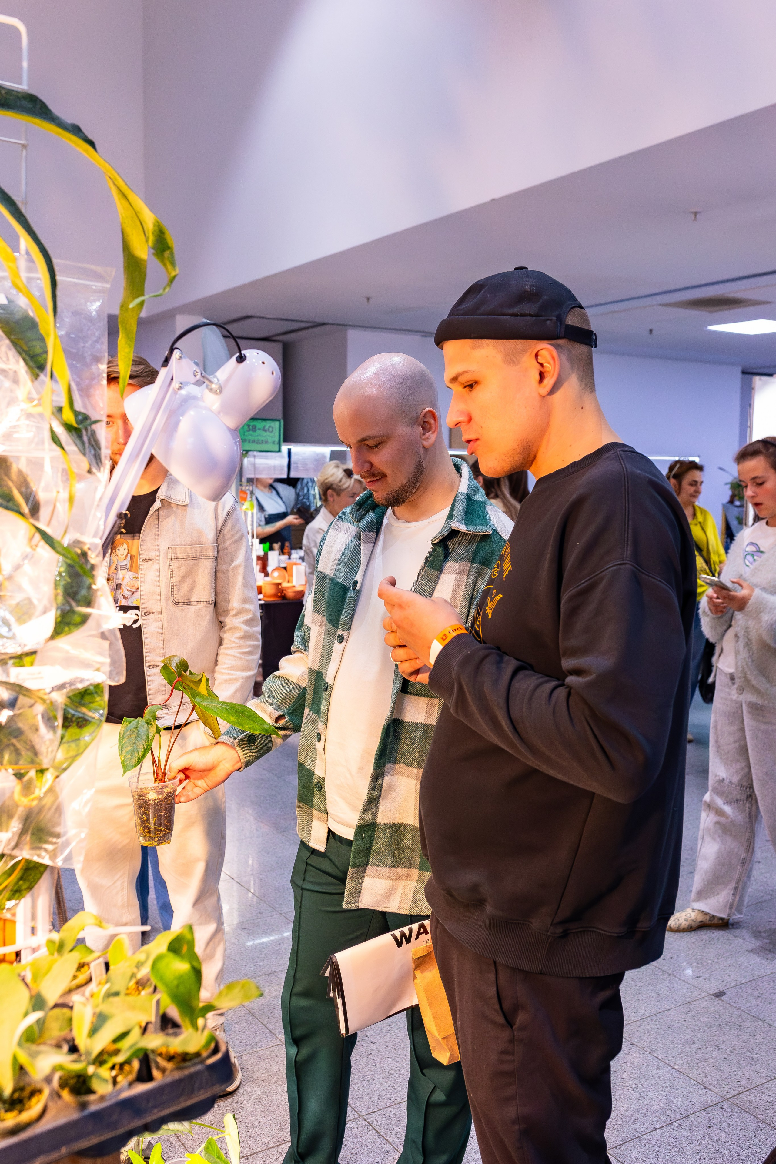 Орхидиум сентябрь 2025. Александра Куликова фотограф, Москва