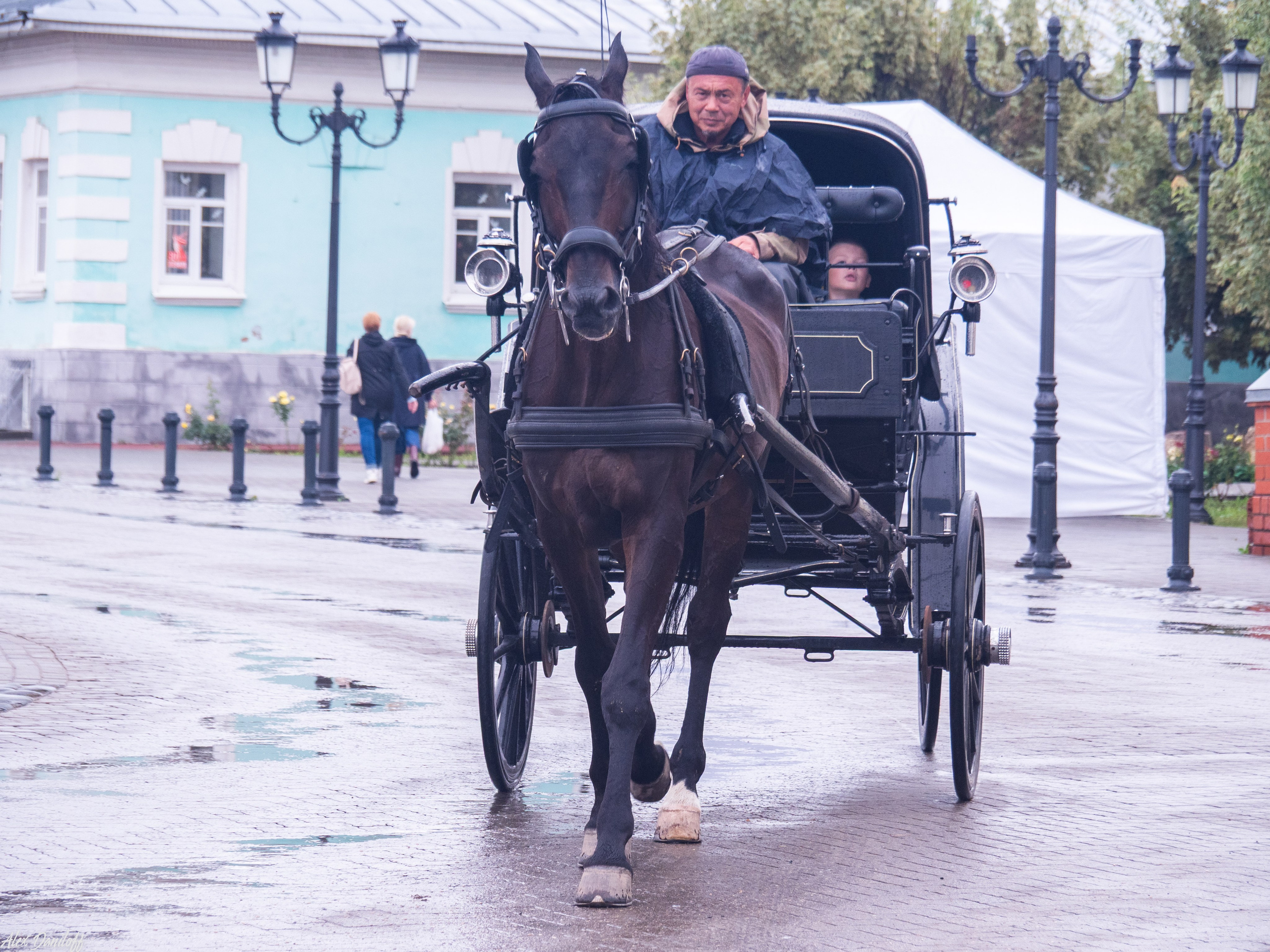 День города Муром 2025. Муром-Инфо. Новости культуры, образования, спорта в городе Муром