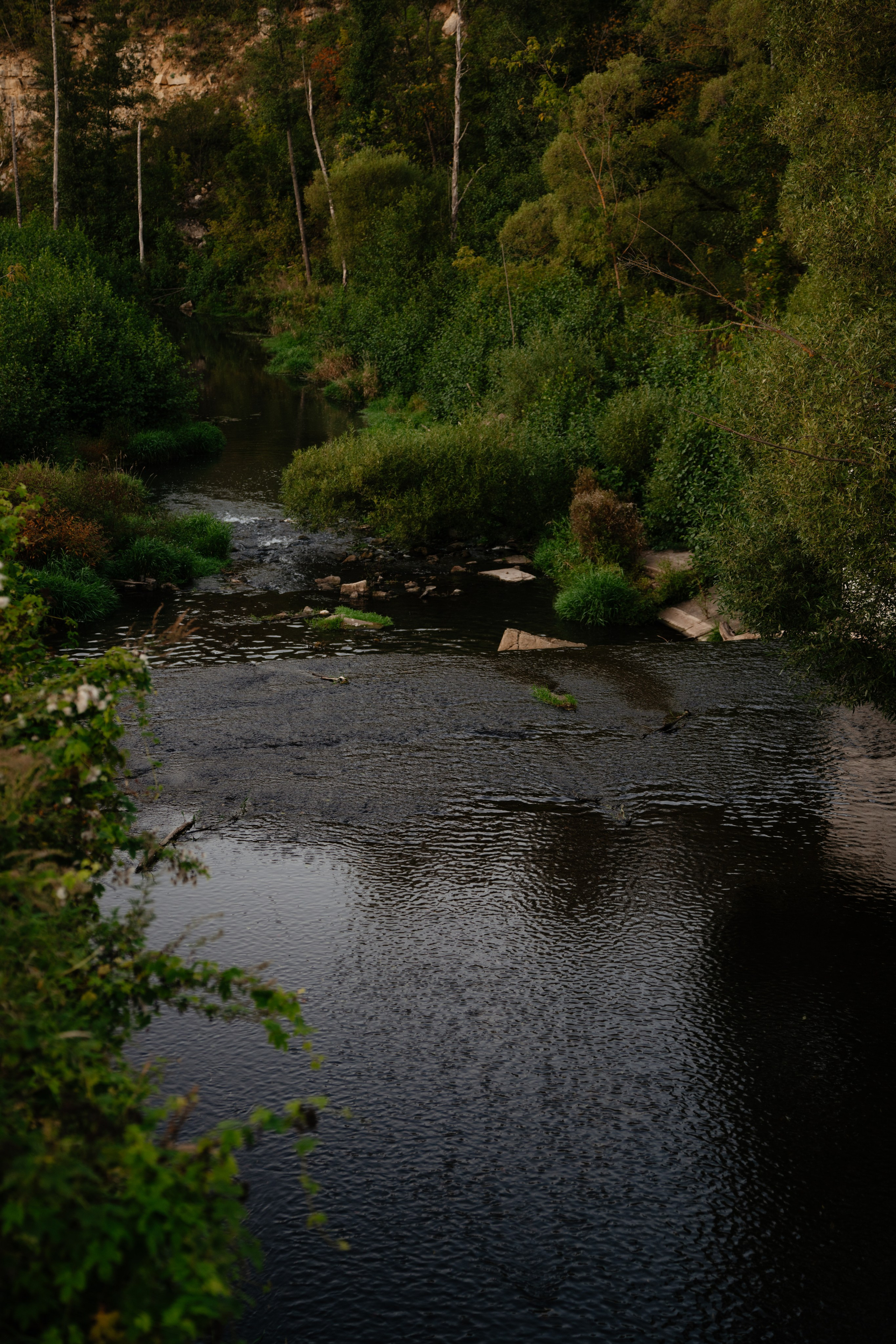 Дугна. Vlad Trykov