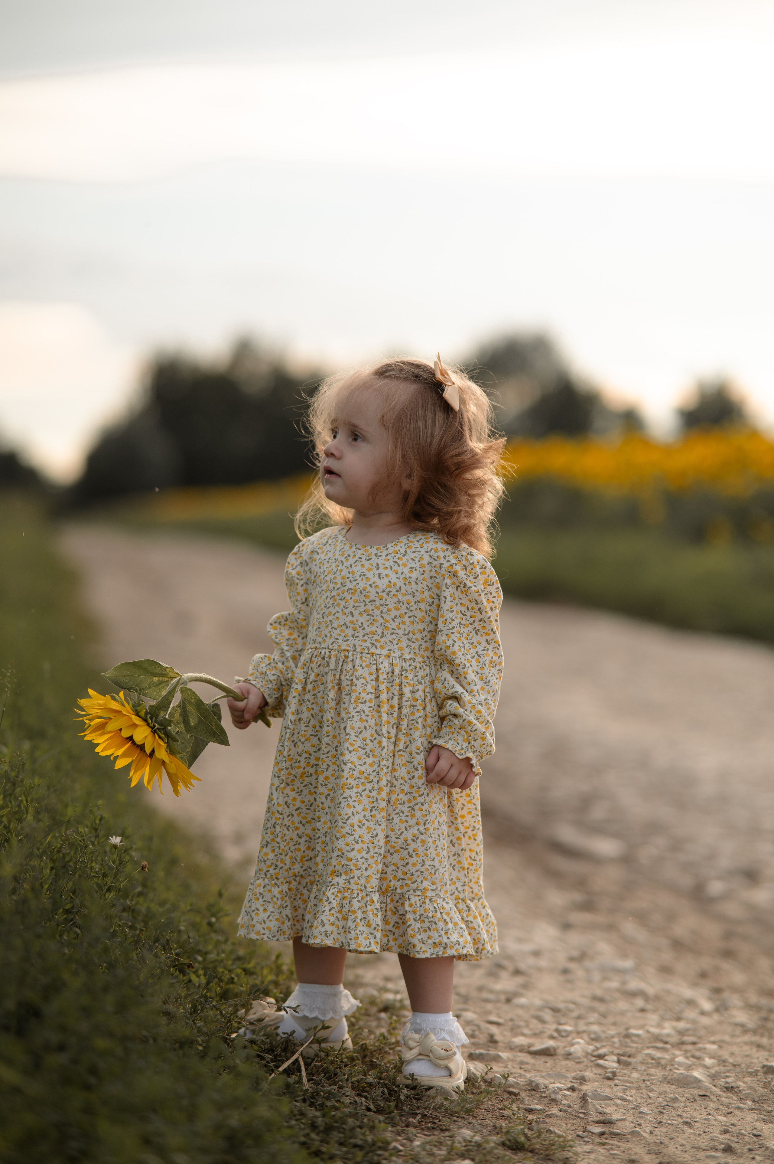 Подсолнухи. Фотограф Юлия Дубровская | Тула — свадьбы, семьи, детские съёмки