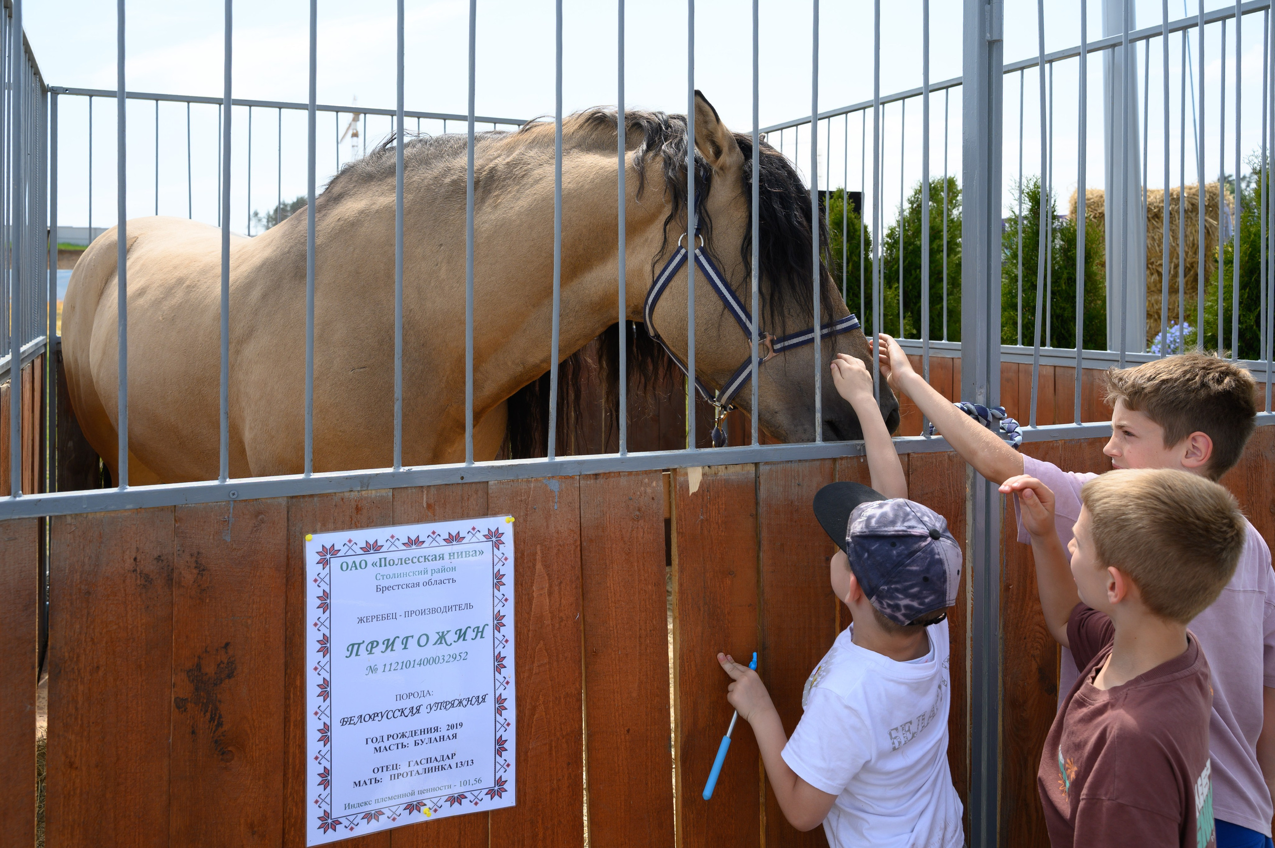 Агровыставка. Фотоуслуги, услуги фотографа, фотографирование важных событий