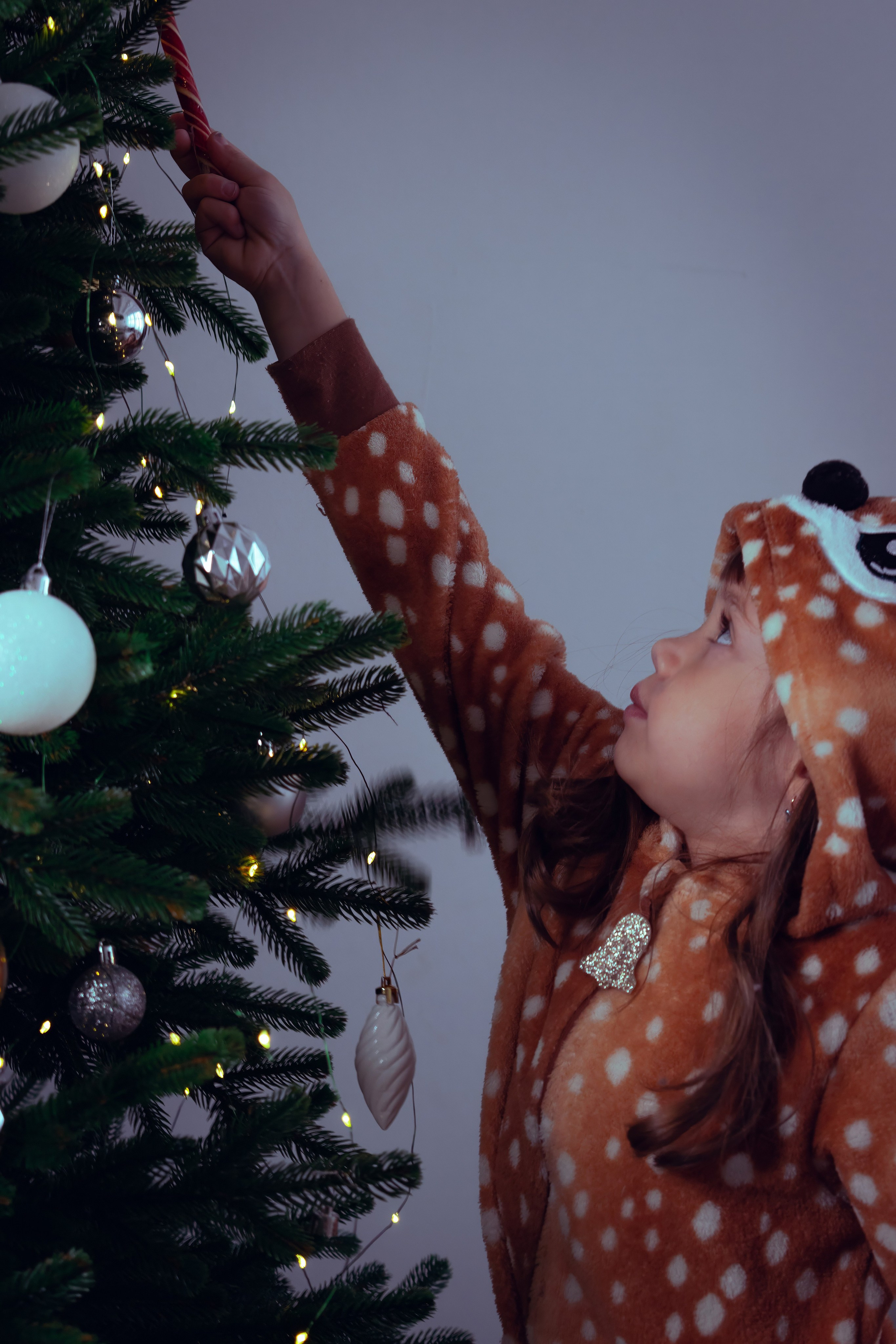 Новогодний оленёнок. Фотограф Зеленоград Москва