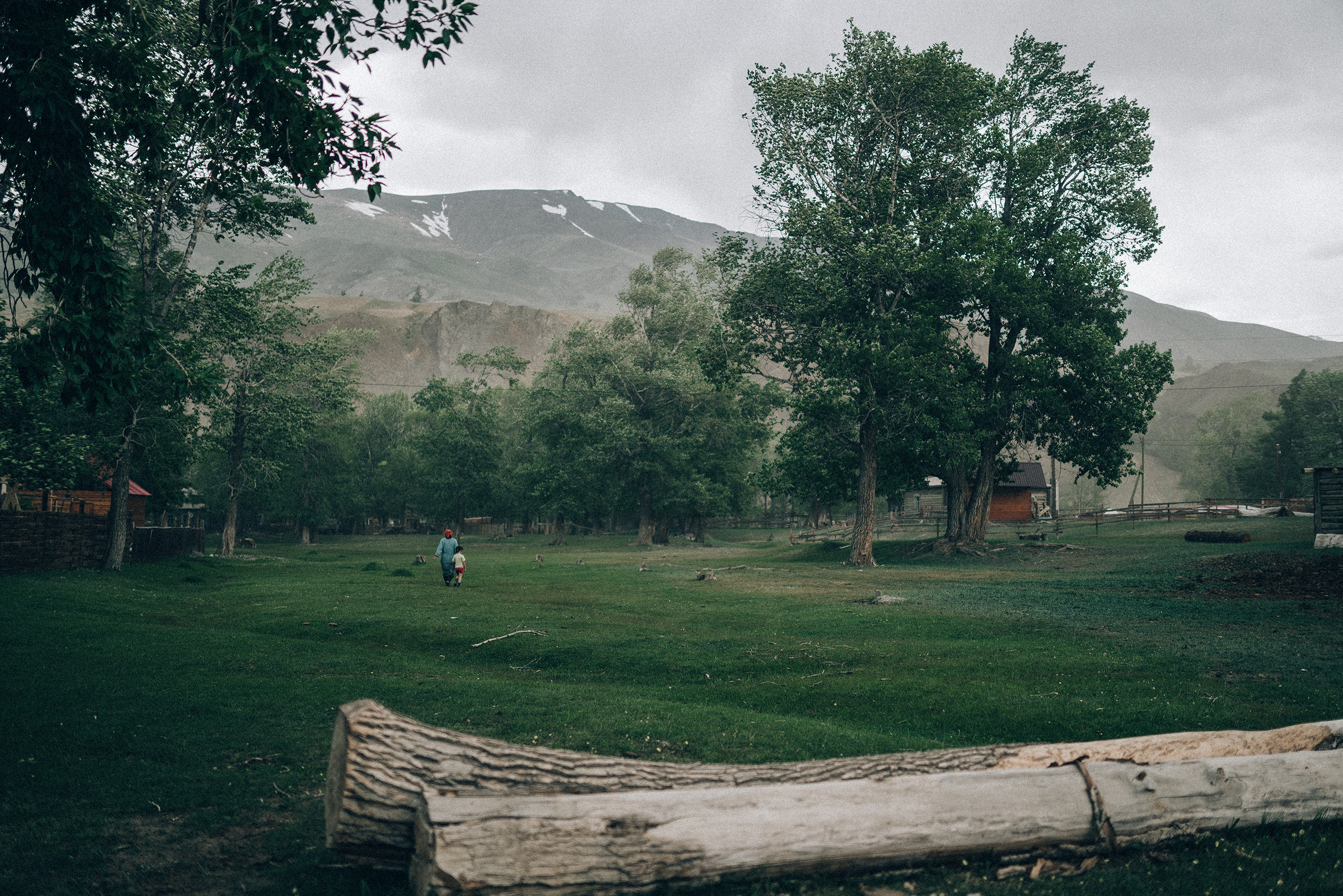 Алтай, июнь 2023. Фотограф Владимир Орлов