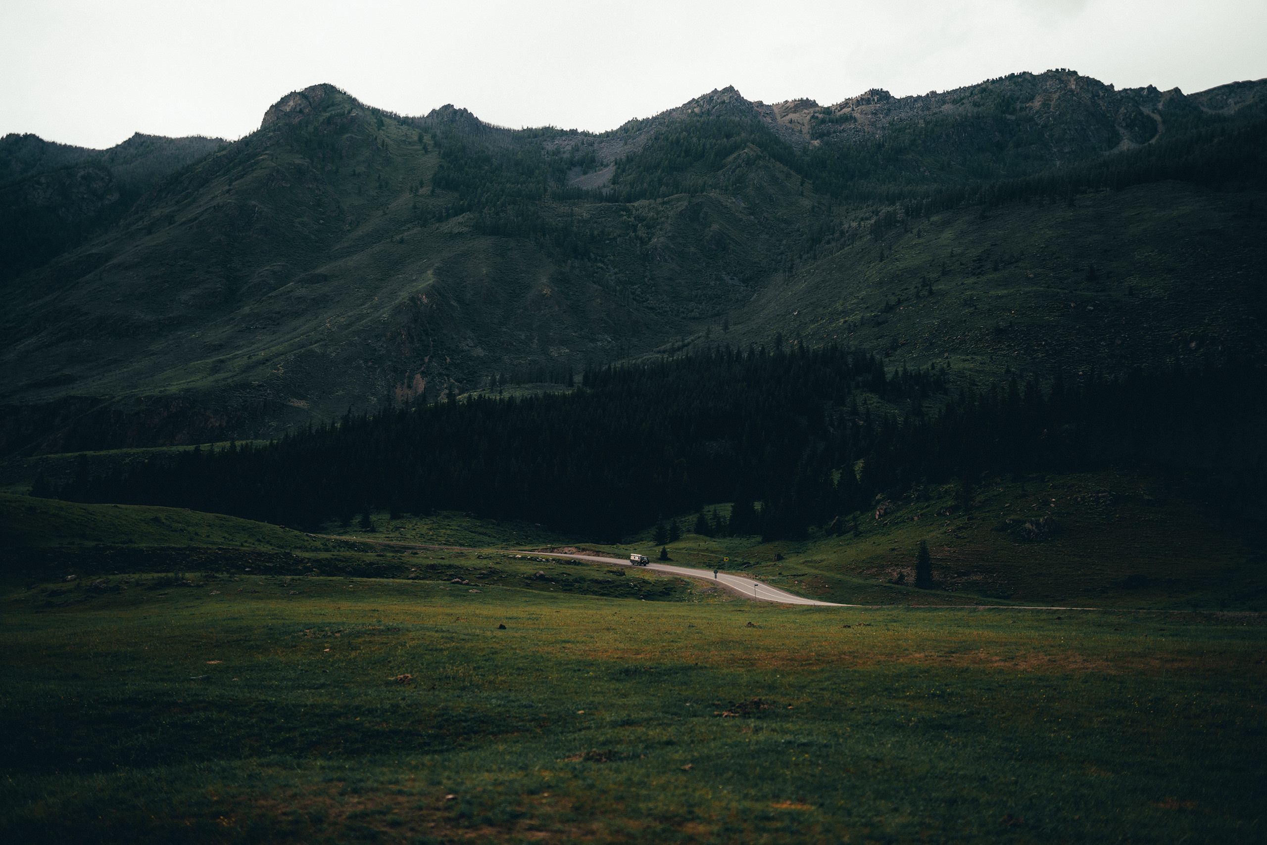 Алтай, июнь 2023. Фотограф Владимир Орлов